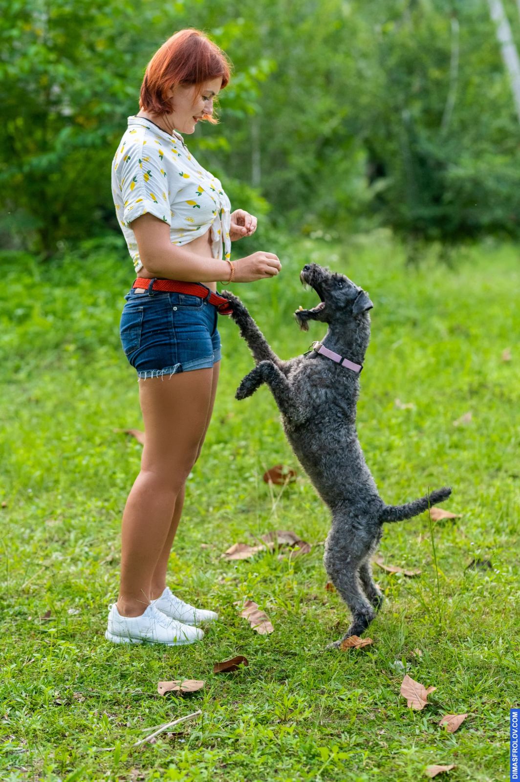 dogs Valeriia @EasyDogMe with Stuffy & Kerry Blue terrier. photo 117926 (2023-05-03 22:16:32)