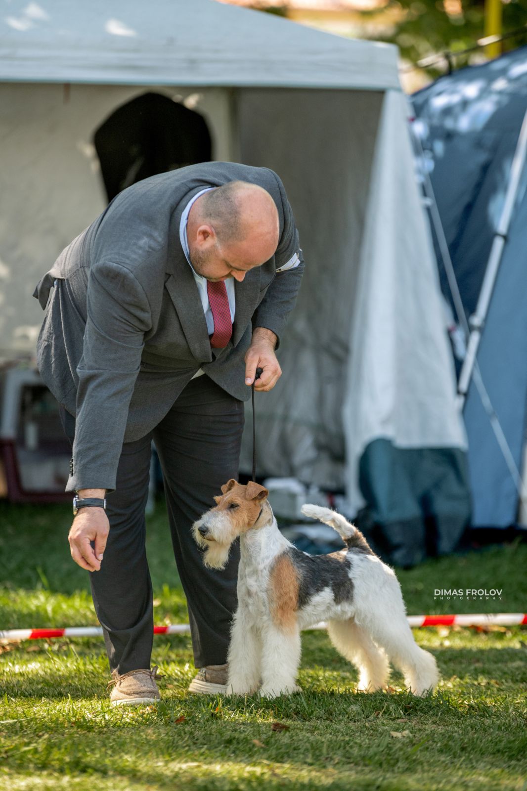 Dog Photographer in Lisbon – 2025 Sintra Dog Shows. Photo 130151 (2025-08-08 21:38:51)