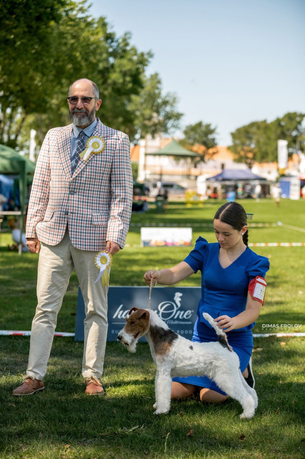 Dog Photographer in Lisbon – 2025 Sintra Dog Shows. Photo 130149 (2025-08-08 21:38:49)