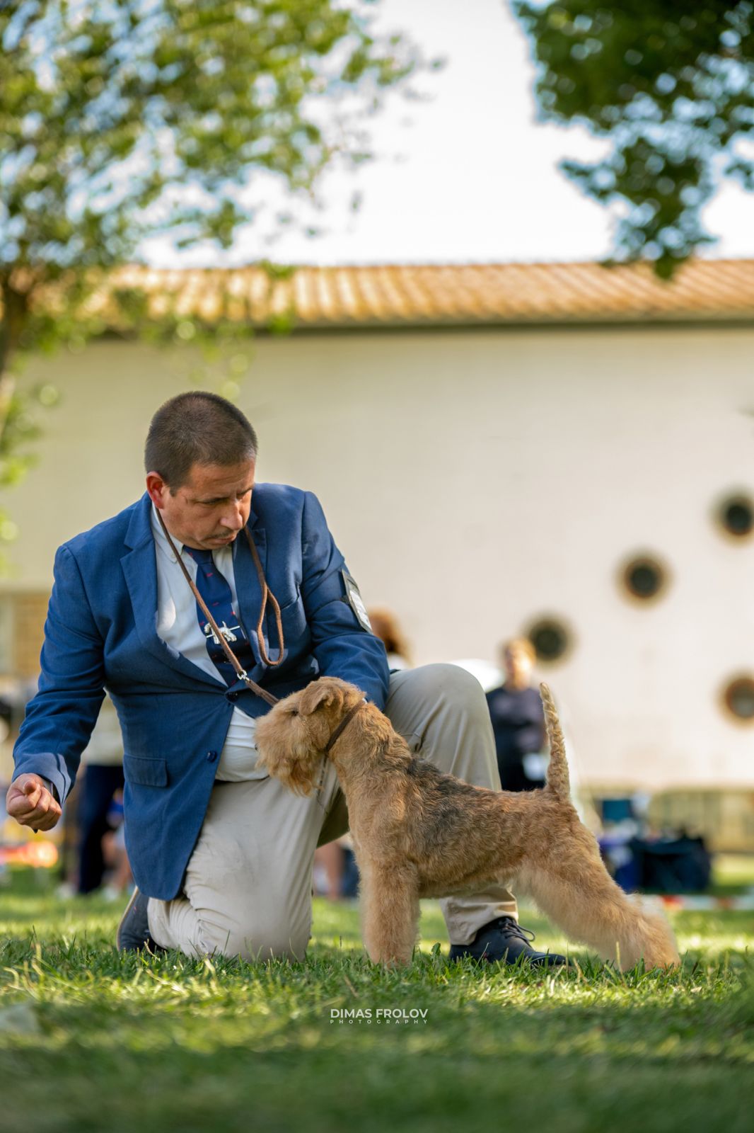Dog Photographer in Lisbon – 2025 Sintra Dog Shows. Photo 130133 (2025-08-08 21:38:43)
