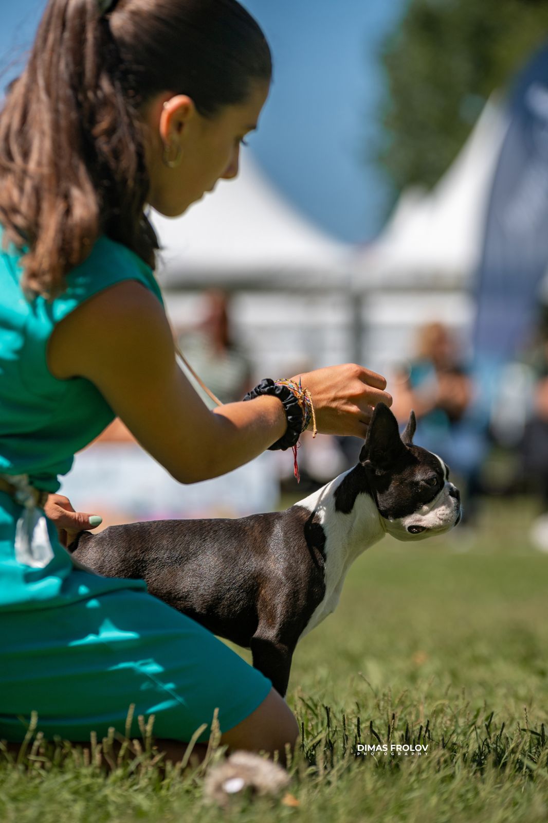Dog Photographer in Lisbon – 2025 Sintra Dog Shows. Photo 130123 (2025-08-08 21:38:41)
