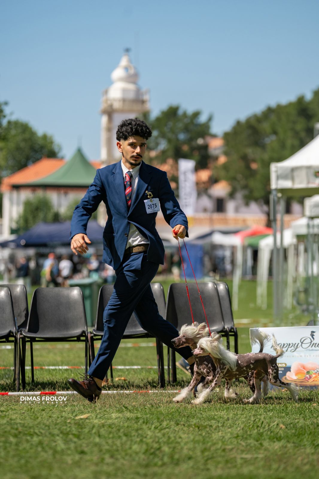 Dog Photographer in Lisbon – 2025 Sintra Dog Shows. Photo 130125 (2025-08-08 21:38:41)
