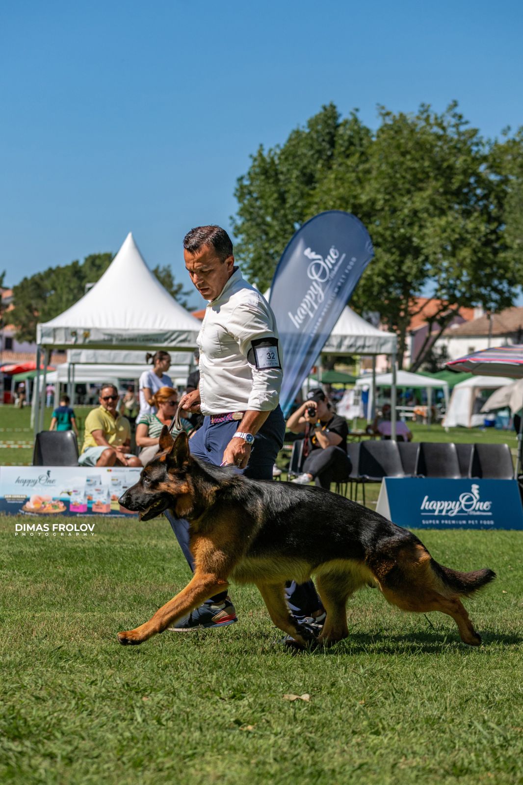 Dog Photographer in Lisbon – 2025 Sintra Dog Shows. Photo 130173 (2025-08-08 21:38:58)