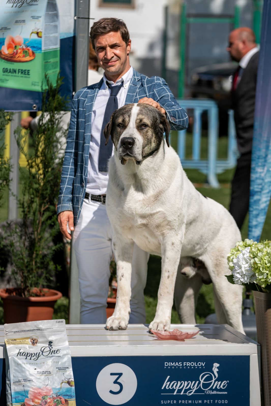 Dog Photographer in Lisbon – 2025 Sintra Dog Shows. Photo 130137 (2025-08-08 21:38:45)