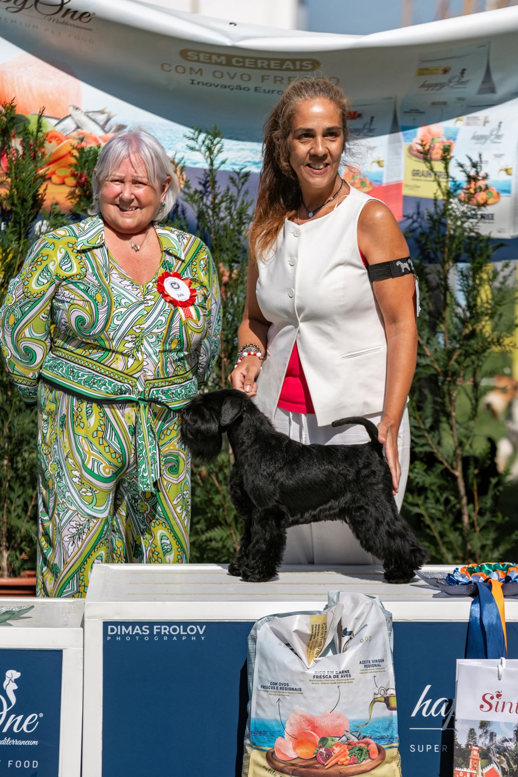 Dog Photographer in Lisbon – 2025 Sintra Dog Shows. Photo 130162 (2025-08-08 21:38:55)