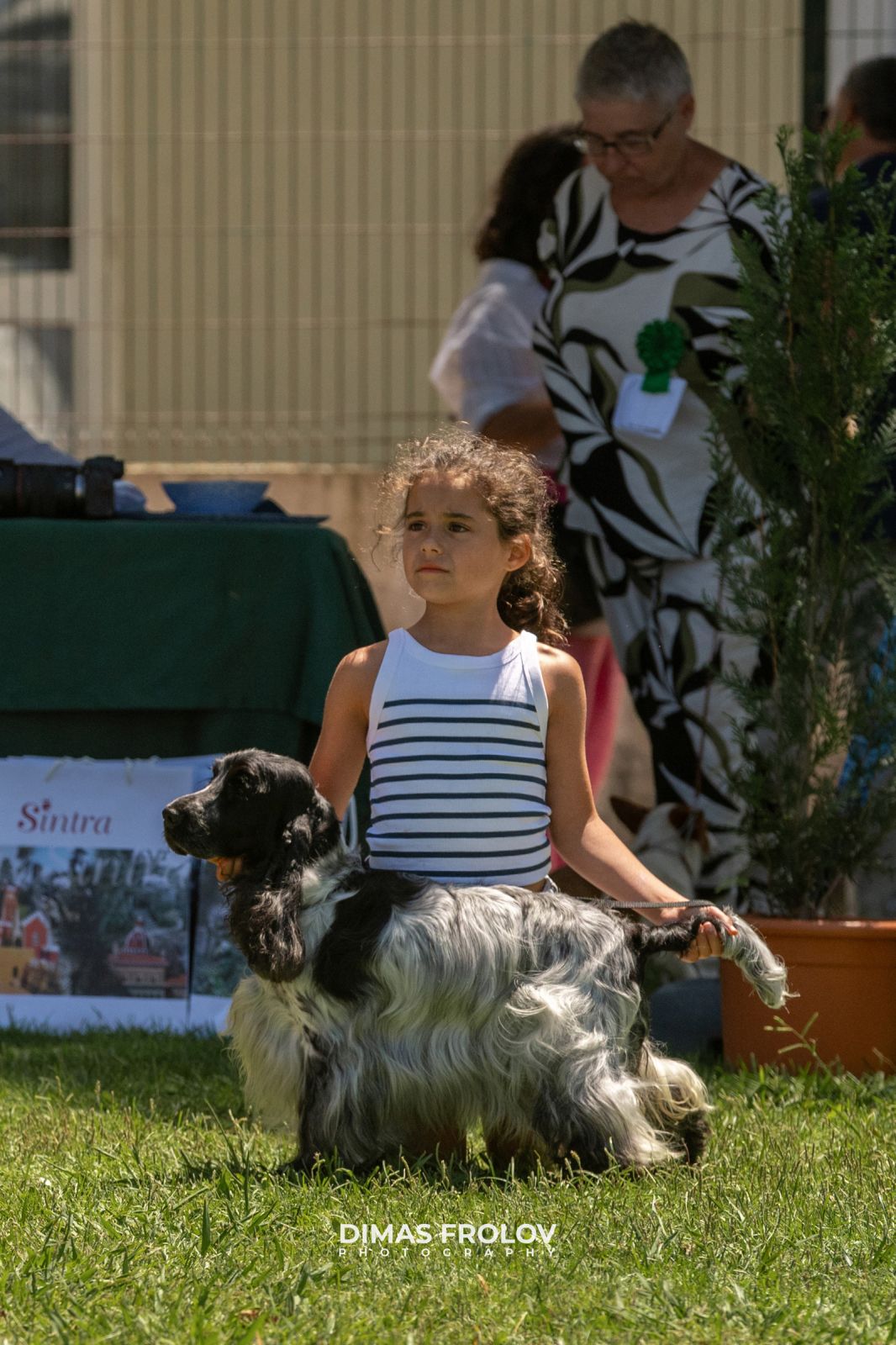 Dog Photographer in Lisbon – 2025 Sintra Dog Shows. Photo 130161 (2025-08-08 21:38:55)