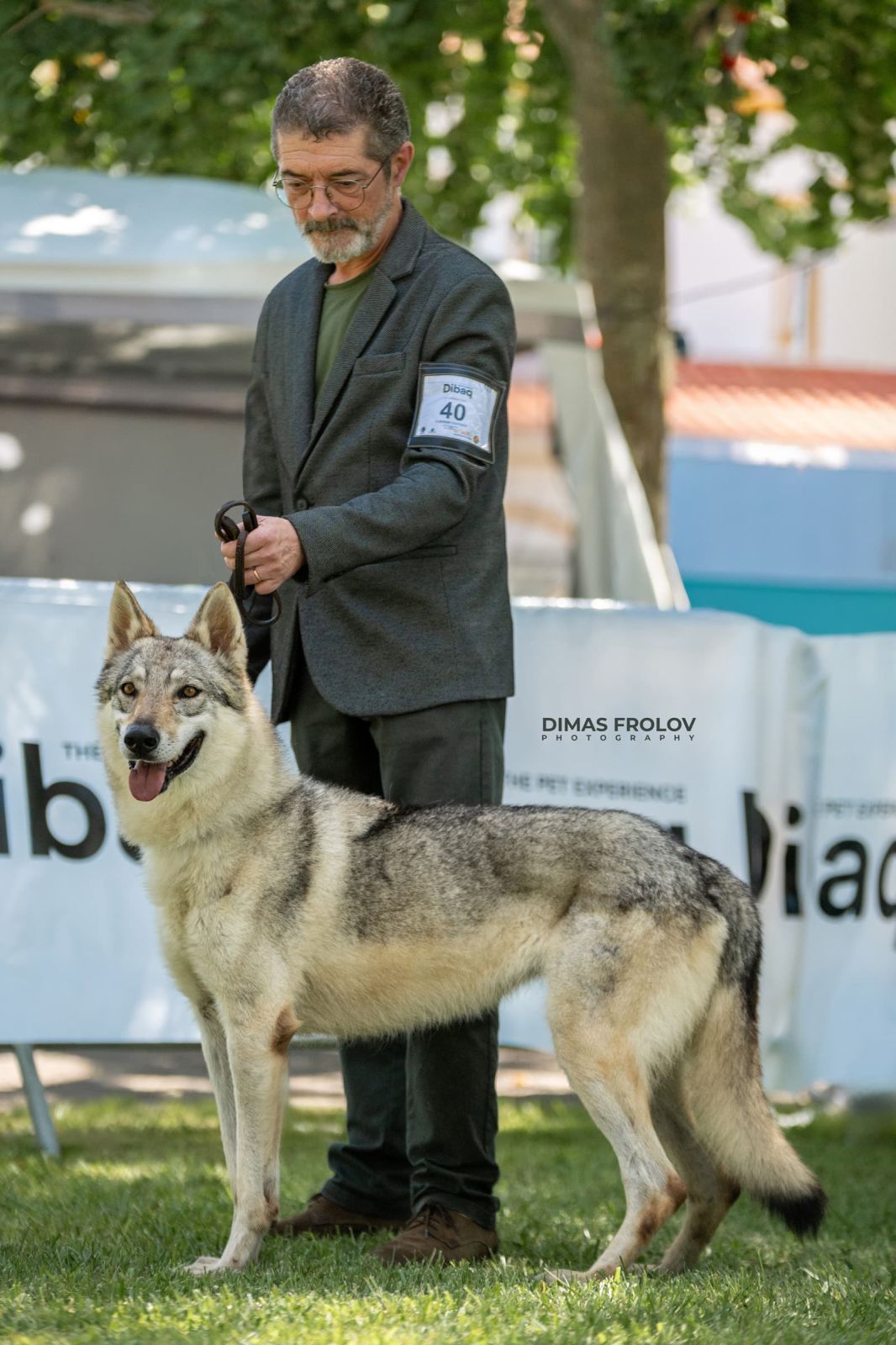 dogs Alentejo Dog Show. photo 130327 (2025-09-12 11:39:27)