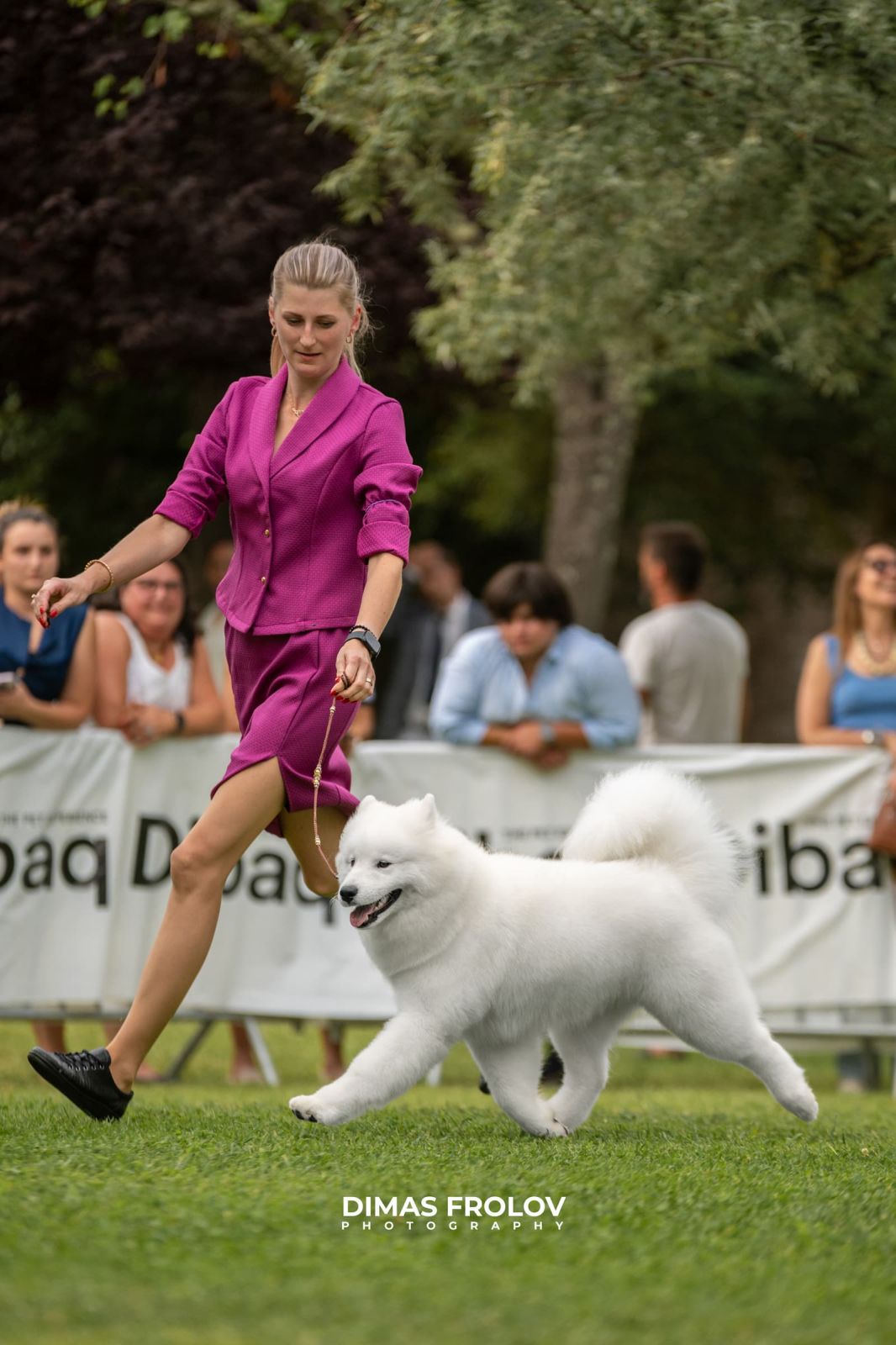 dogs Alentejo Dog Show. photo 130346 (2025-09-12 11:39:28)