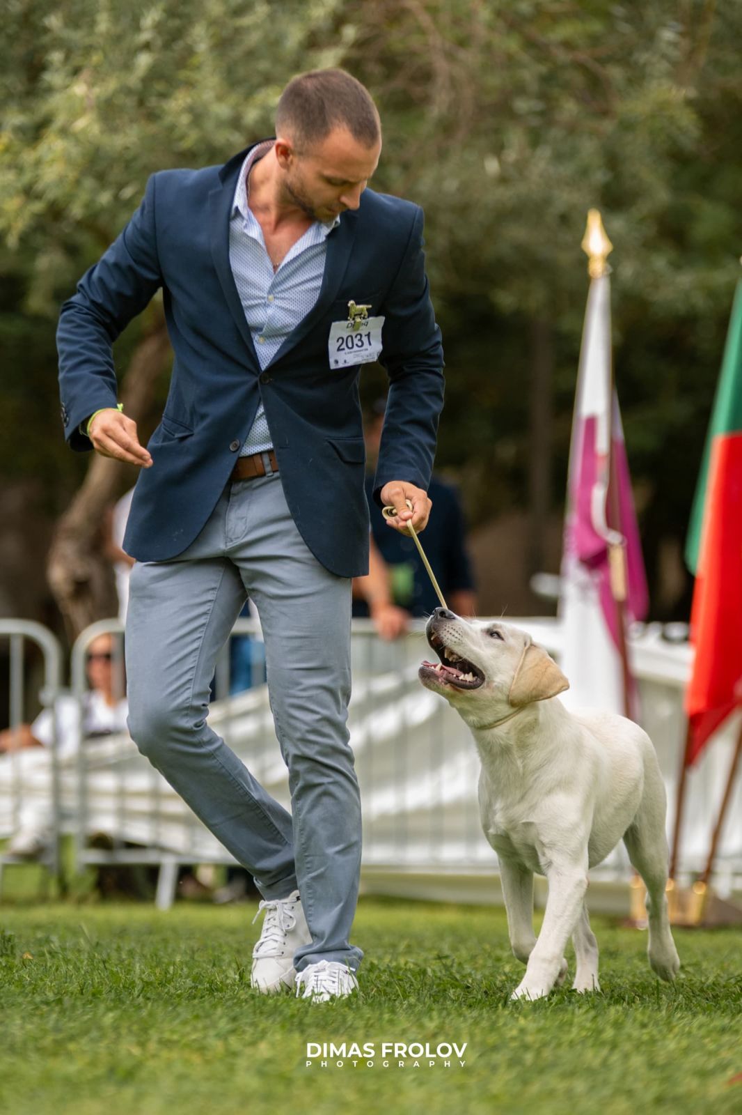 dogs Alentejo Dog Show. photo 130365 (2025-09-12 11:39:29)