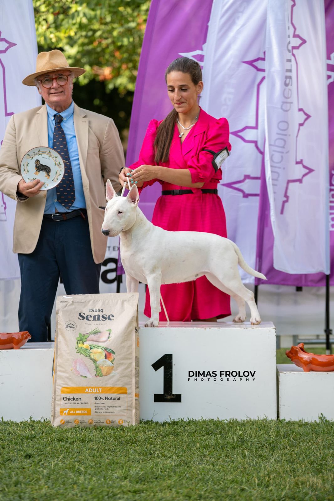 dogs Alentejo Dog Show. photo 130355 (2025-09-12 11:39:28)