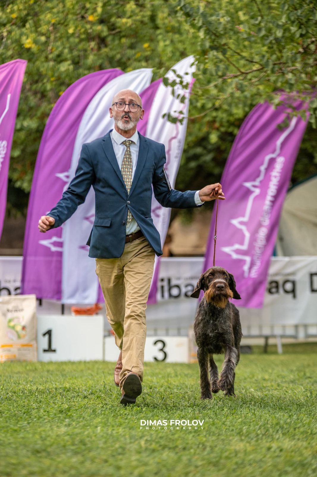 dogs Alentejo Dog Show. photo 130330 (2025-09-12 11:39:27)