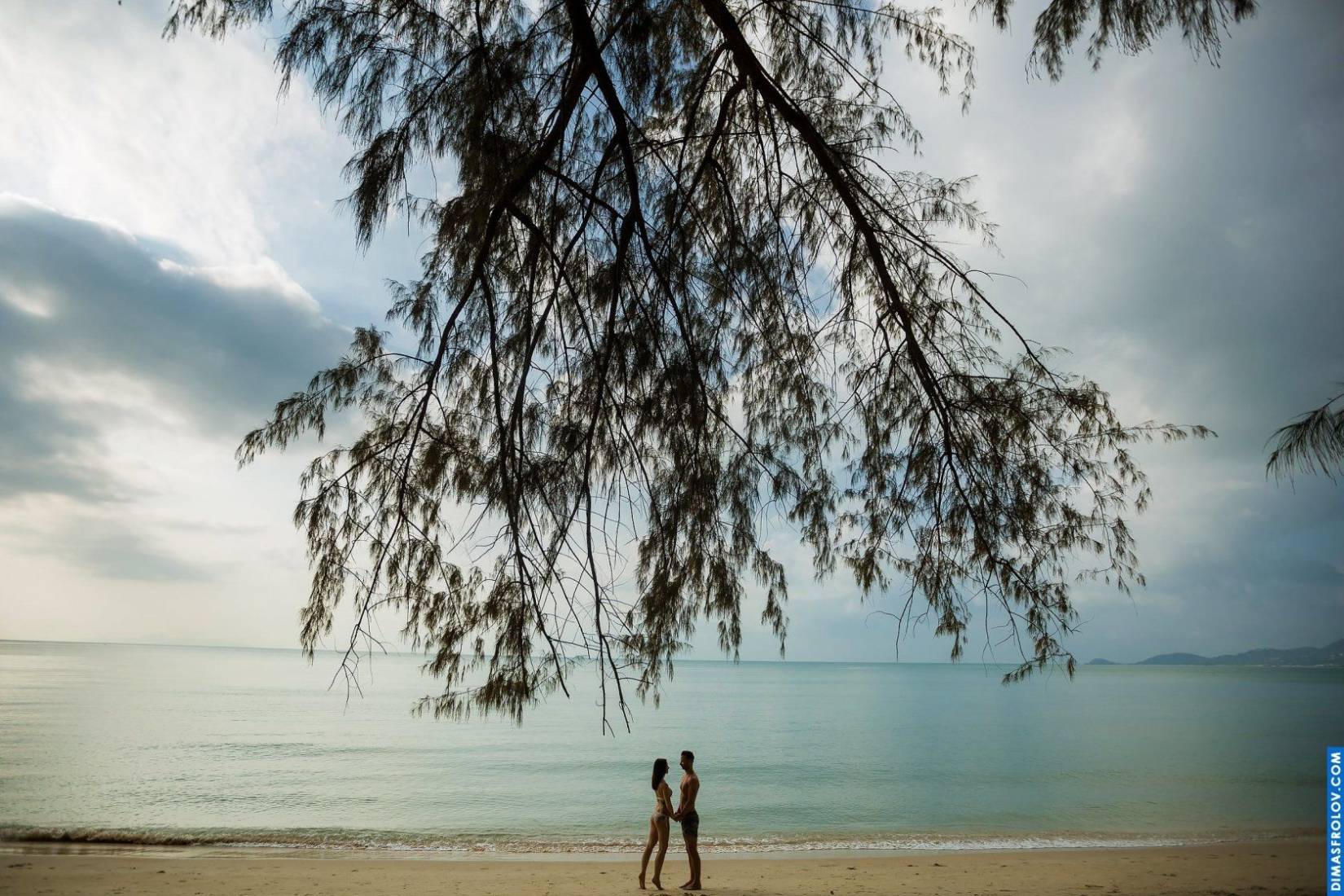 ชุดภาพถ่ายข้อเสนอ Kevin to Denise. บาทต่อภาพ 30151 (2023-05-03 21:50:48)