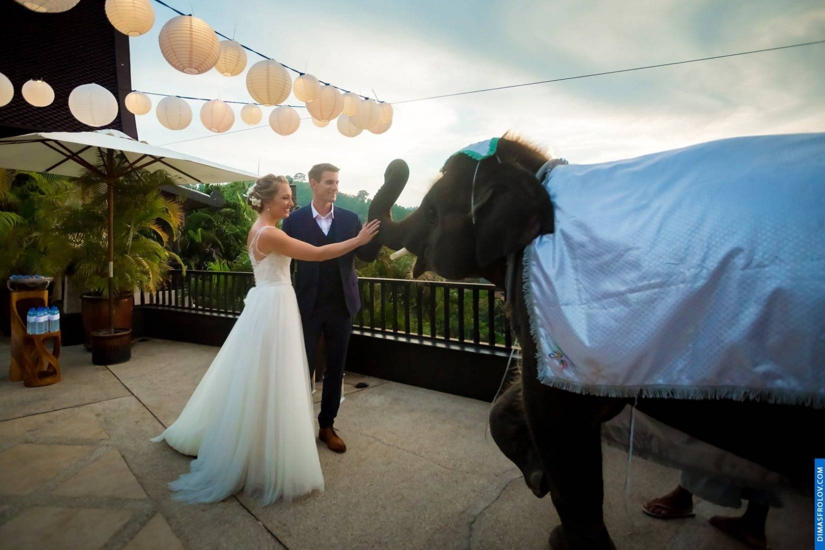 Fotografia de Casamento em Phuket. Pippa e Tony.. Foto 35653 (2023-05-03 21:51:56)