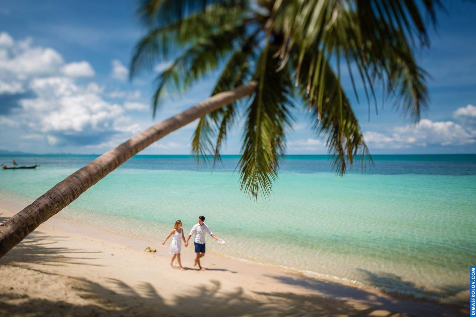 คู่รักเดินริมชายหาดใต้ต้นปาล์ม จูงมือกัน