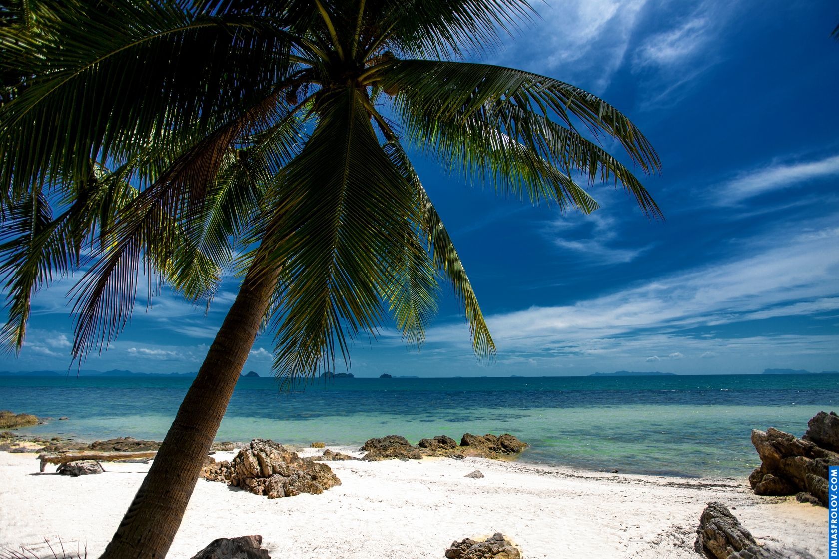 Secluded tropical beach with palm trees leaning over white sand and gentle waves lapping the shore