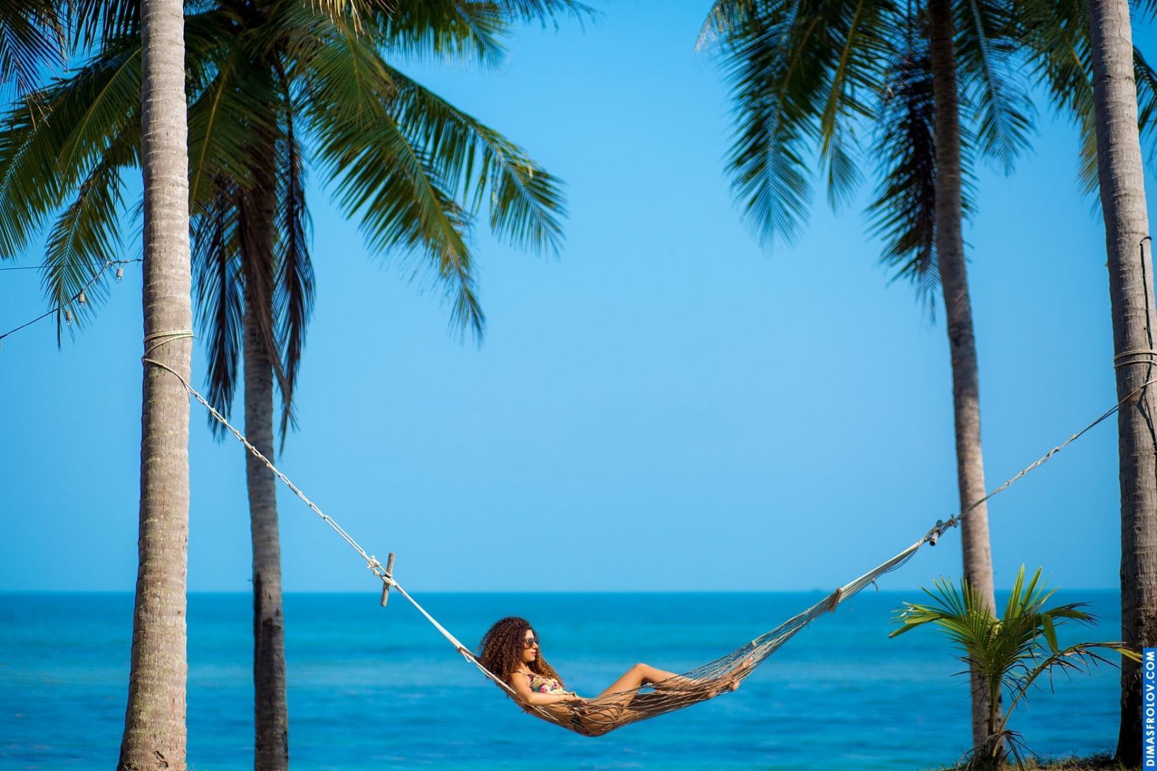 Relaxed hammock photo of a woman between palm trees by the ocean