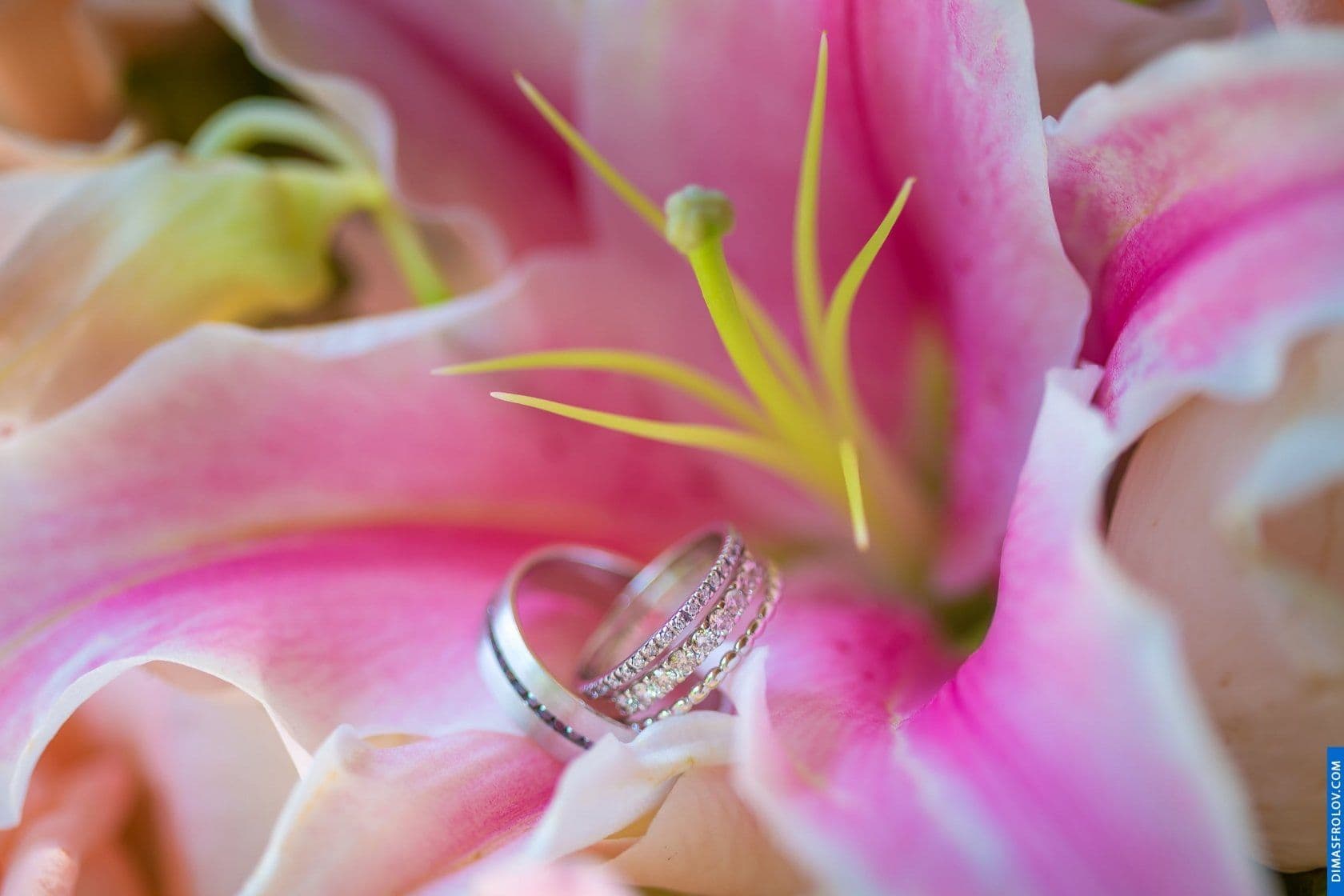 French Wedding Photography at Villa Suralai. Photo 132465 (2026-07-17 09:41:04)