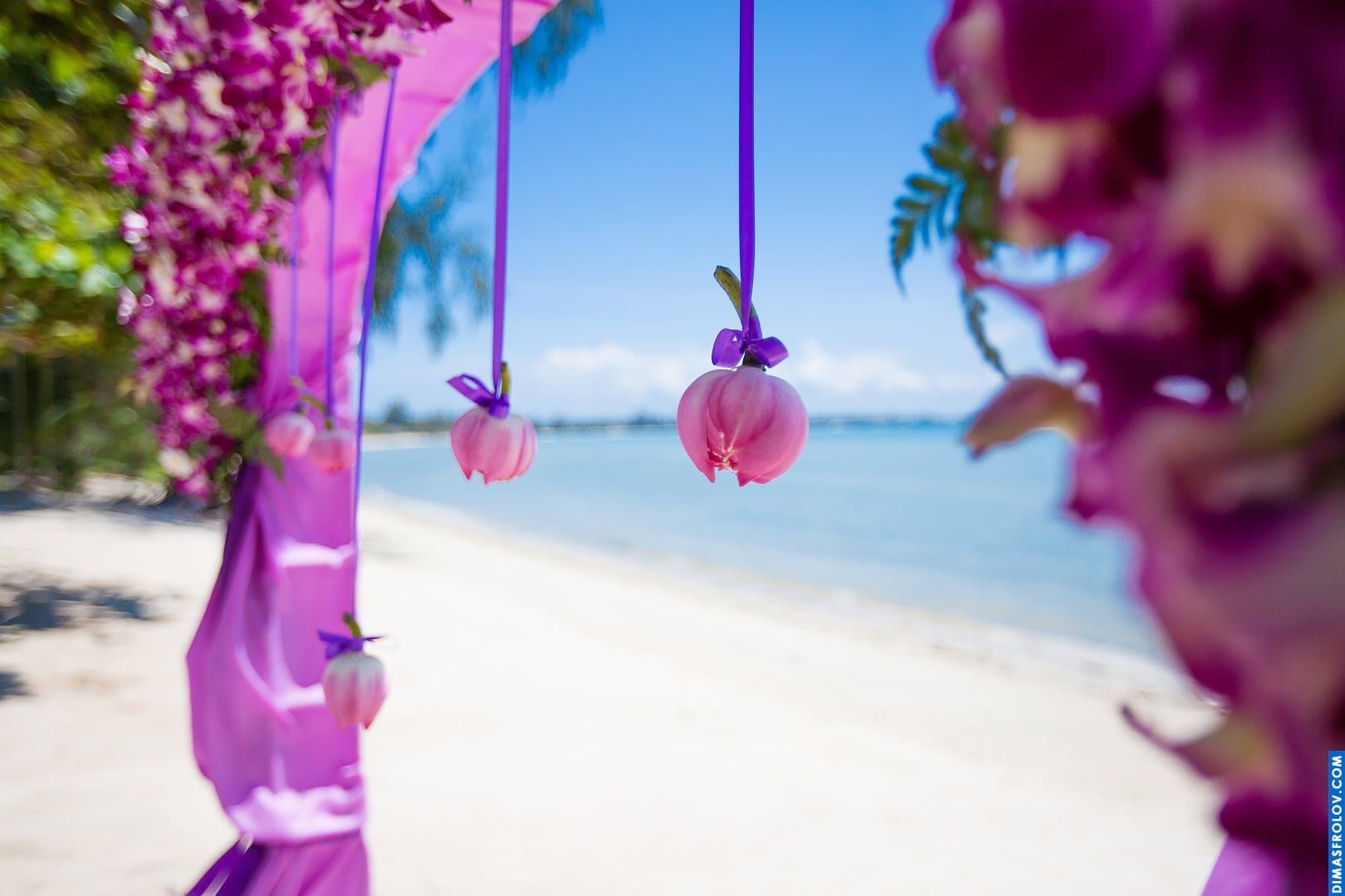 Wedding at Viva Vacation Resort. Photo 459 (2023-05-03 21:42:47)