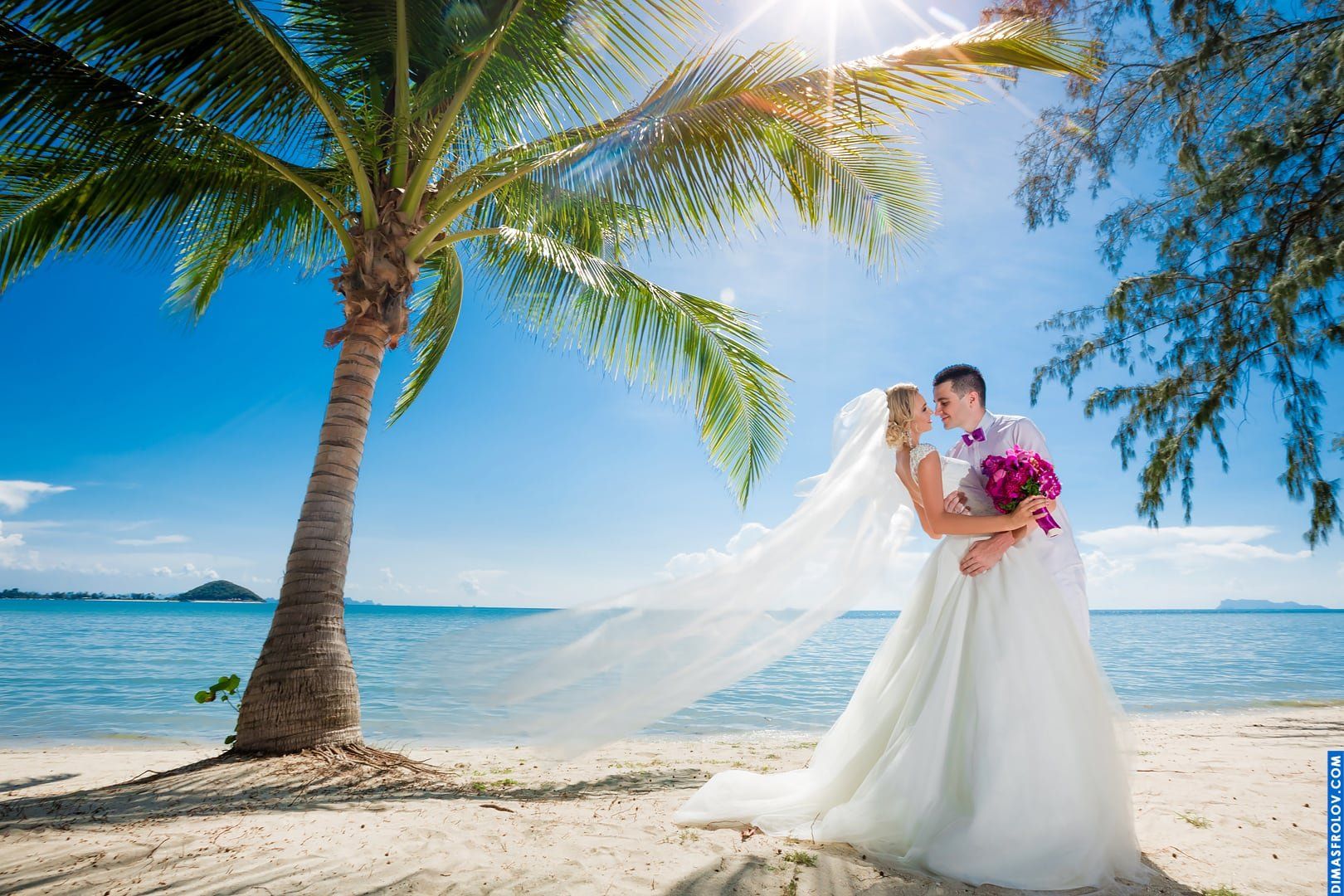 Wedding at Viva Vacation Resort. Photo 479 (2023-05-03 21:42:48)