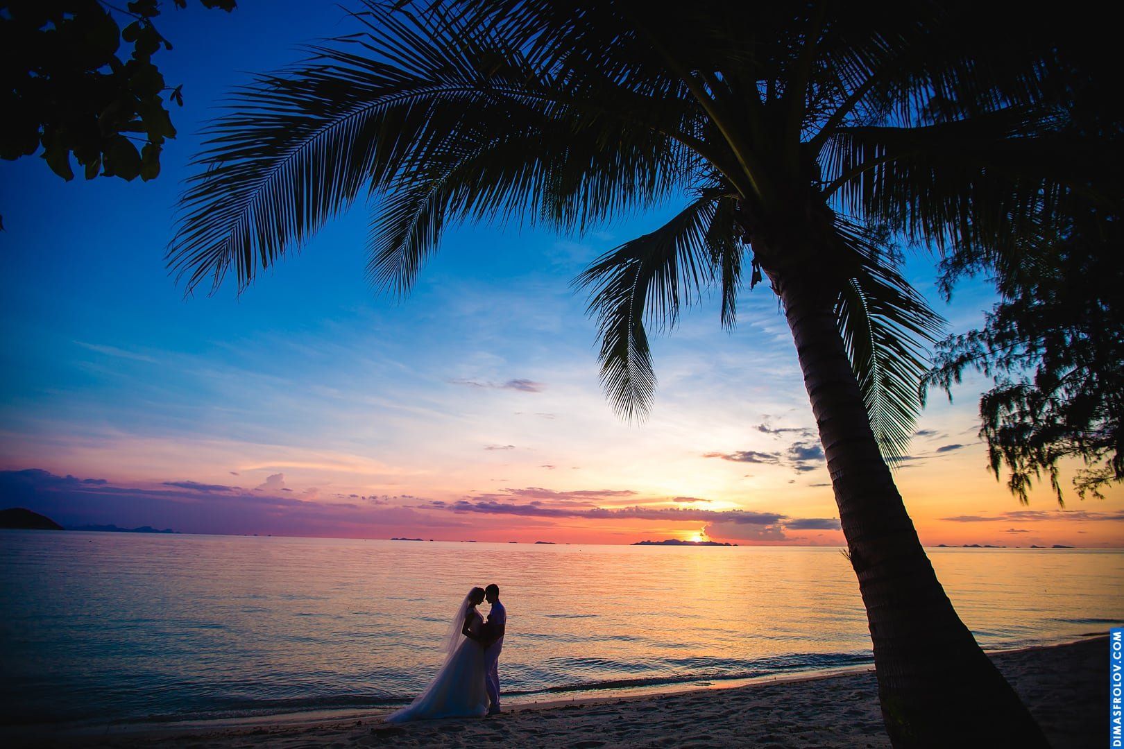 Wedding at Viva Vacation Resort. Photo 521 (2023-05-03 21:42:48)