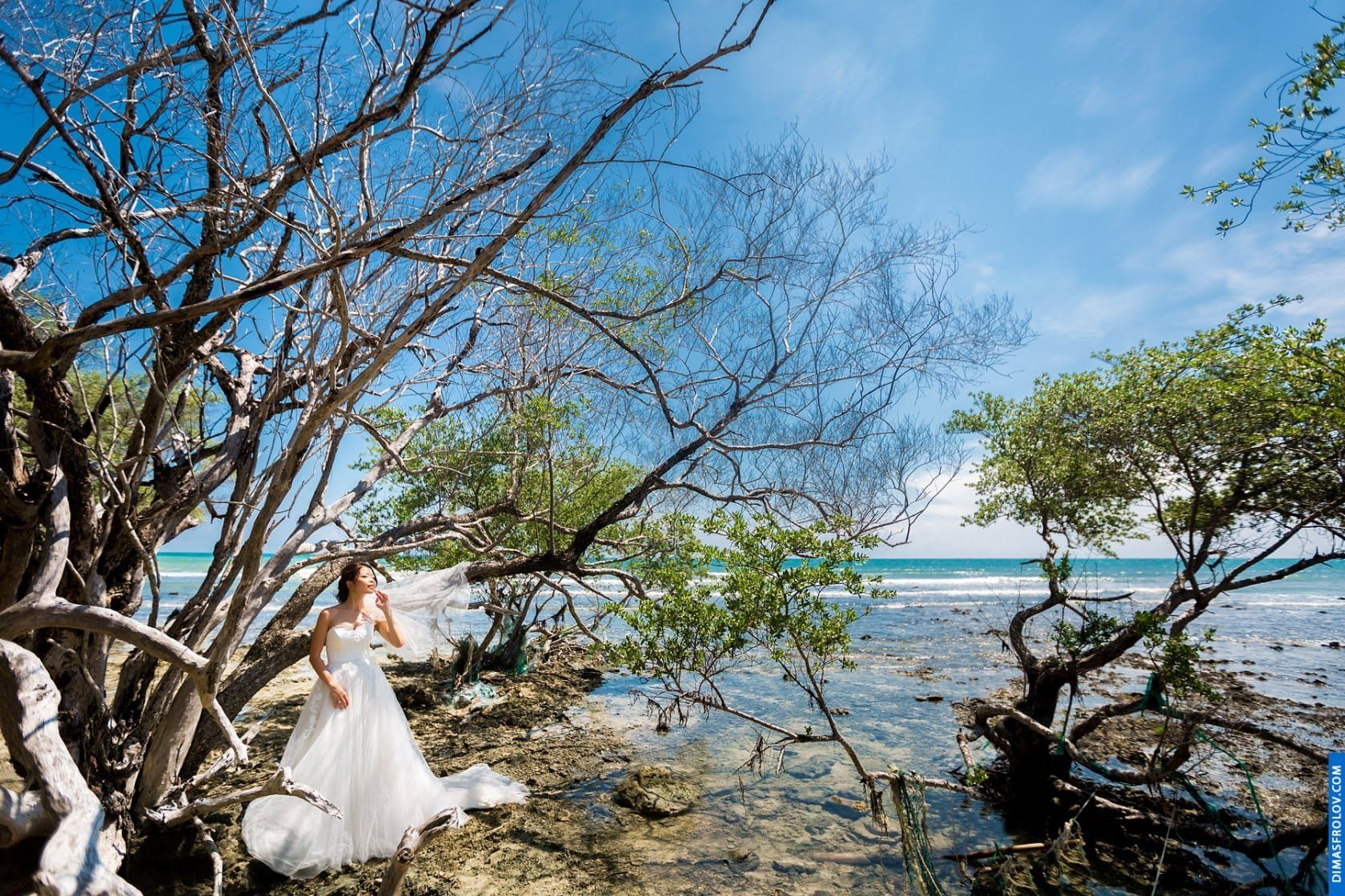 Elopement shoots Jessica & Hansel. photo 7798 (2023-05-03 21:45:50)