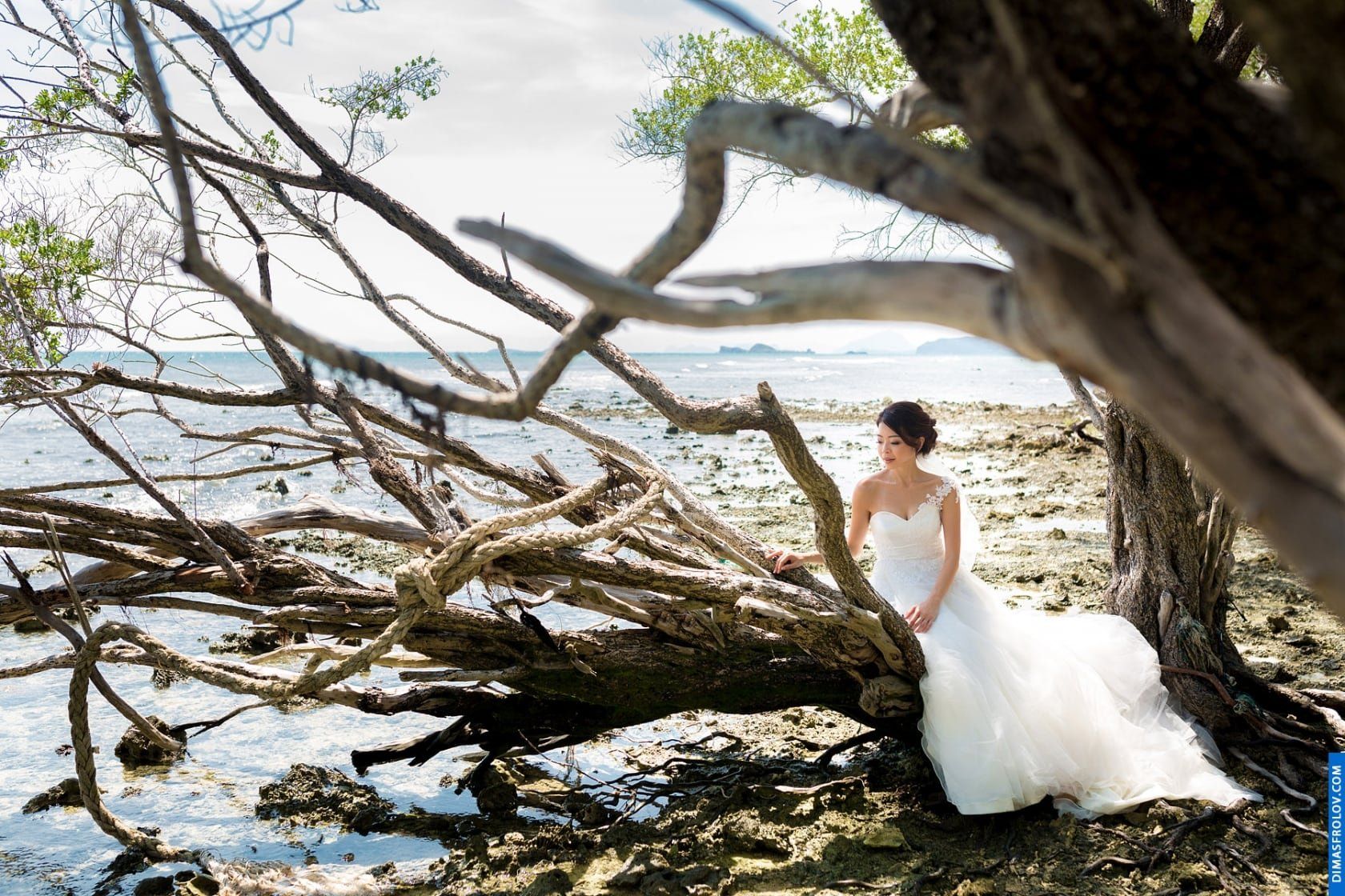 Elopement shoots Jessica & Hansel. photo 7816 (2023-05-03 21:45:50)