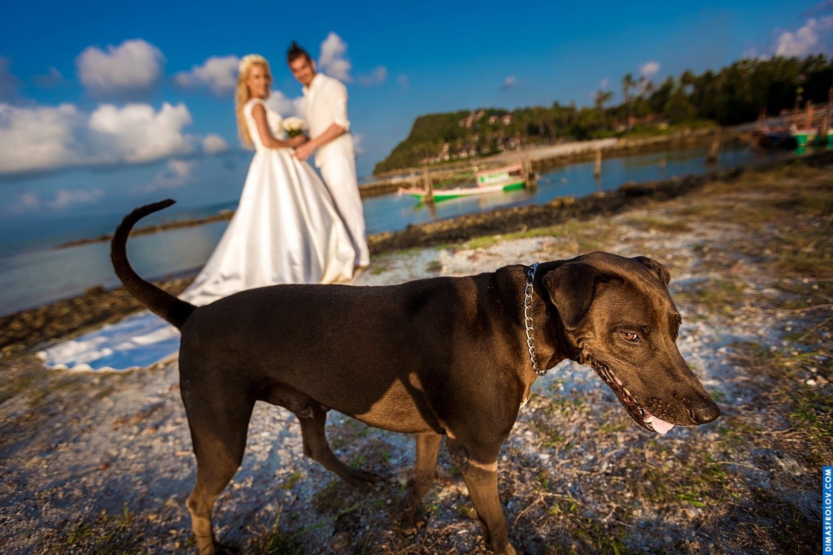 Elopement shoots Danil & Irina. photo 9506 (2023-05-03 21:46:25)