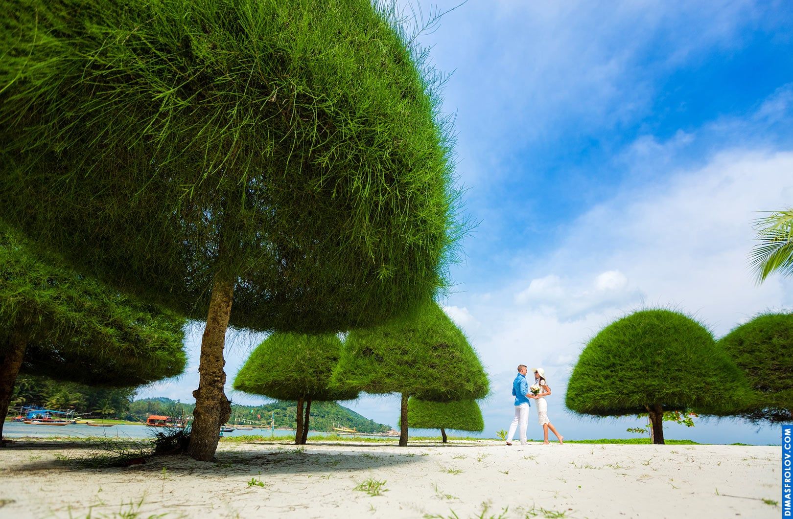 Wedding couple walking through unique shaped trees — creative and whimsical shot