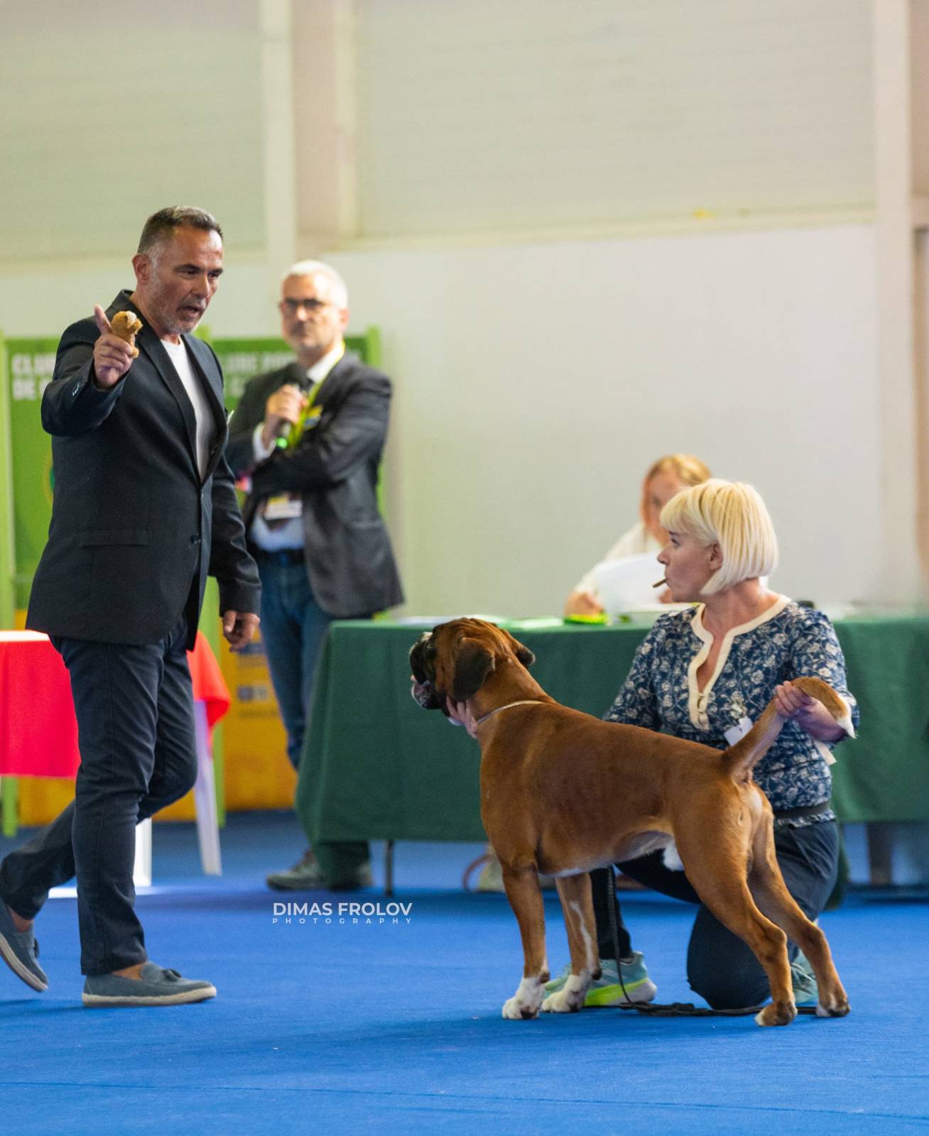 dogs Aveiro Dog Show 2025. บาทต่อภาพ 129671 (2025-07-20 13:03:01)