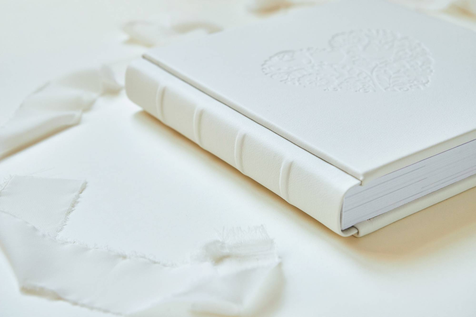 การถ่ายภาพแต่งงาน Wedding Photo Book Examples. บาทต่อภาพ 93386 (2023-05-03 22:08:56)