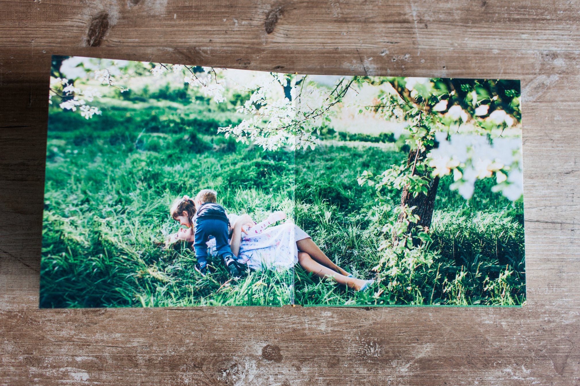 Examples of wedding photo books. Printing & design service. Photo 93354 (2023-05-03 22:08:56)