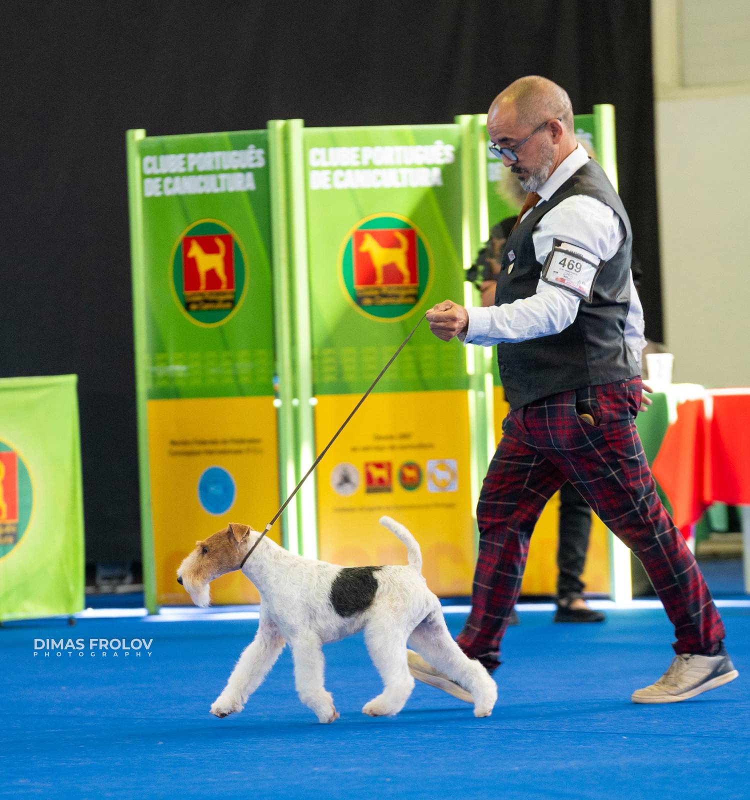 dogs Aveiro Dog Show 2025. บาทต่อภาพ 129673 (2025-07-20 13:03:02)