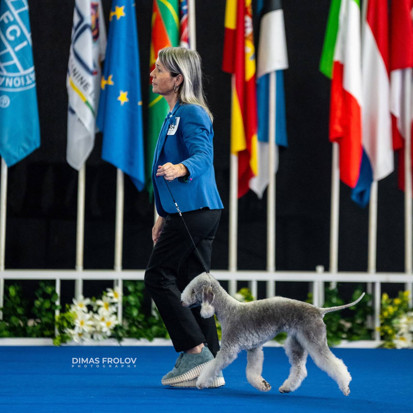 dogs Aveiro Dog Show 2025. บาทต่อภาพ 129643 (2025-07-20 13:02:59)