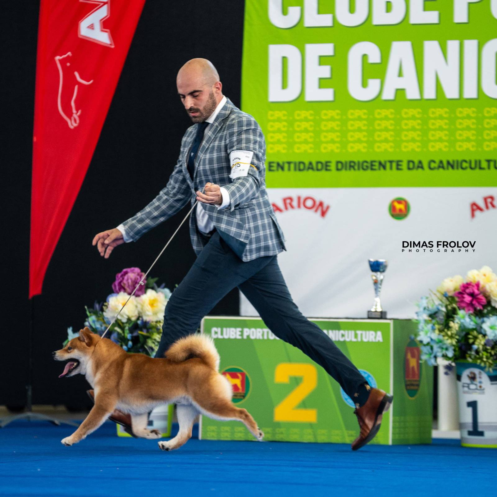 dogs Aveiro Dog Show 2025. บาทต่อภาพ 129649 (2025-07-20 13:03:00)