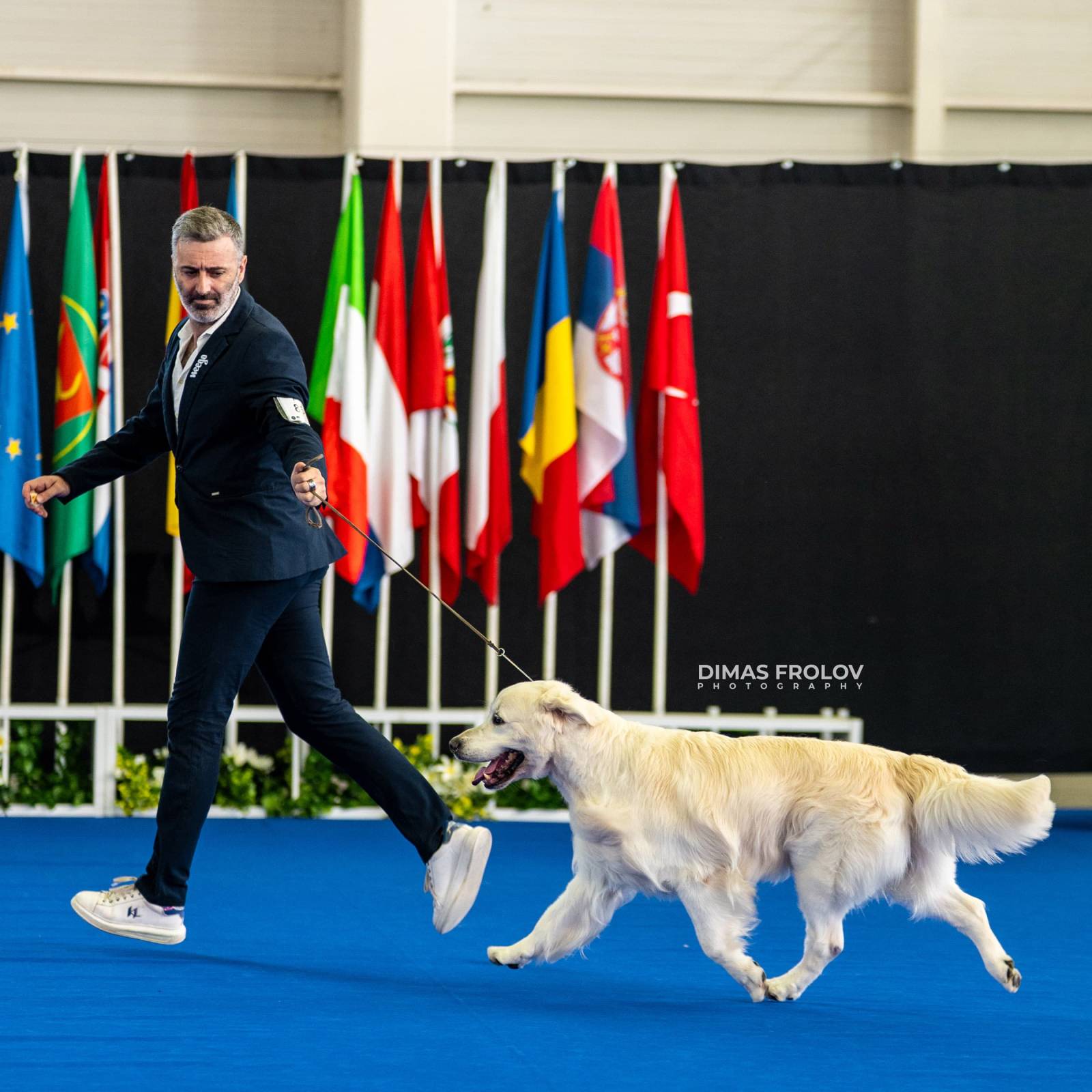 dogs Aveiro Dog Show 2025. บาทต่อภาพ 129663 (2025-07-20 13:03:01)