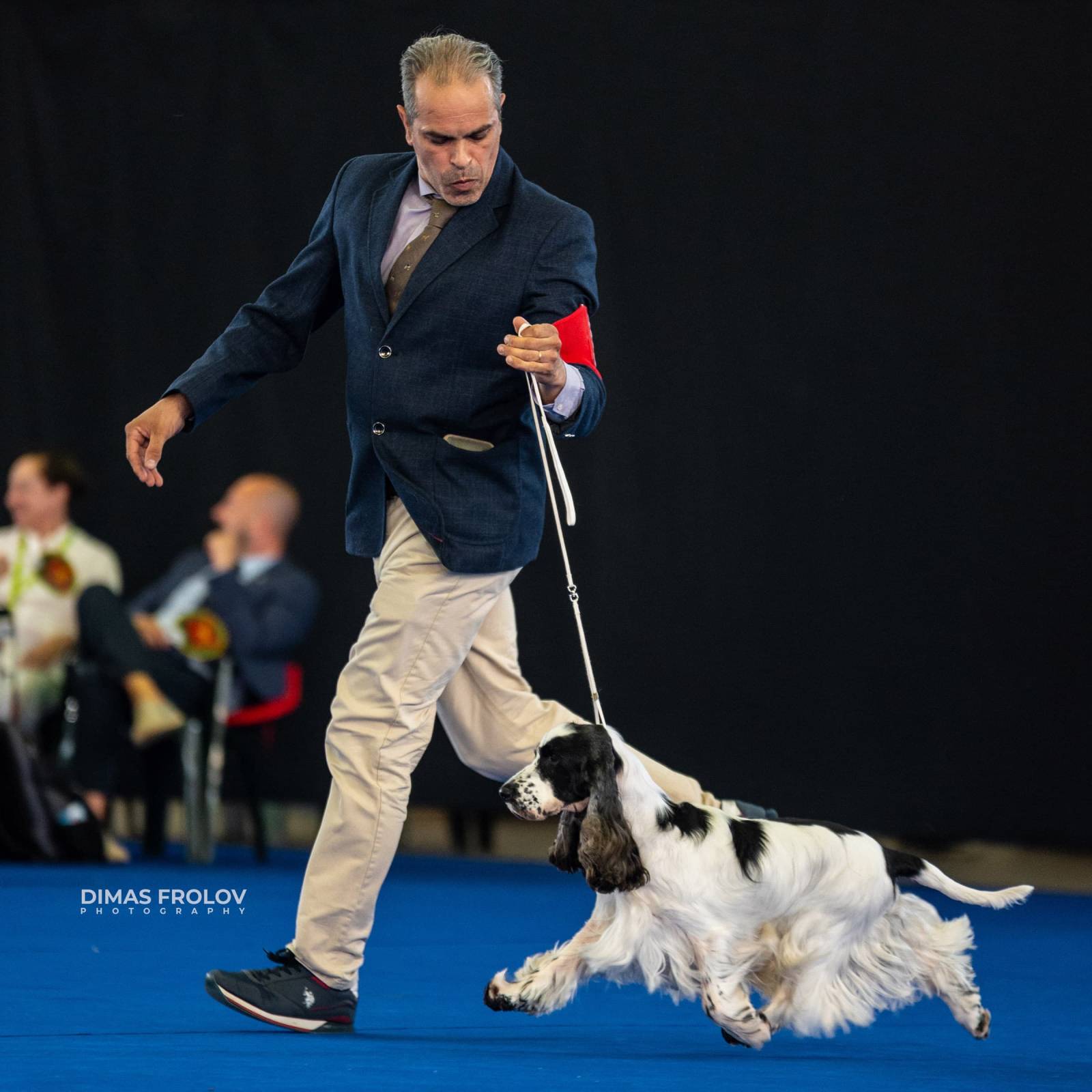 dogs Aveiro Dog Show 2025. บาทต่อภาพ 129656 (2025-07-20 13:03:00)