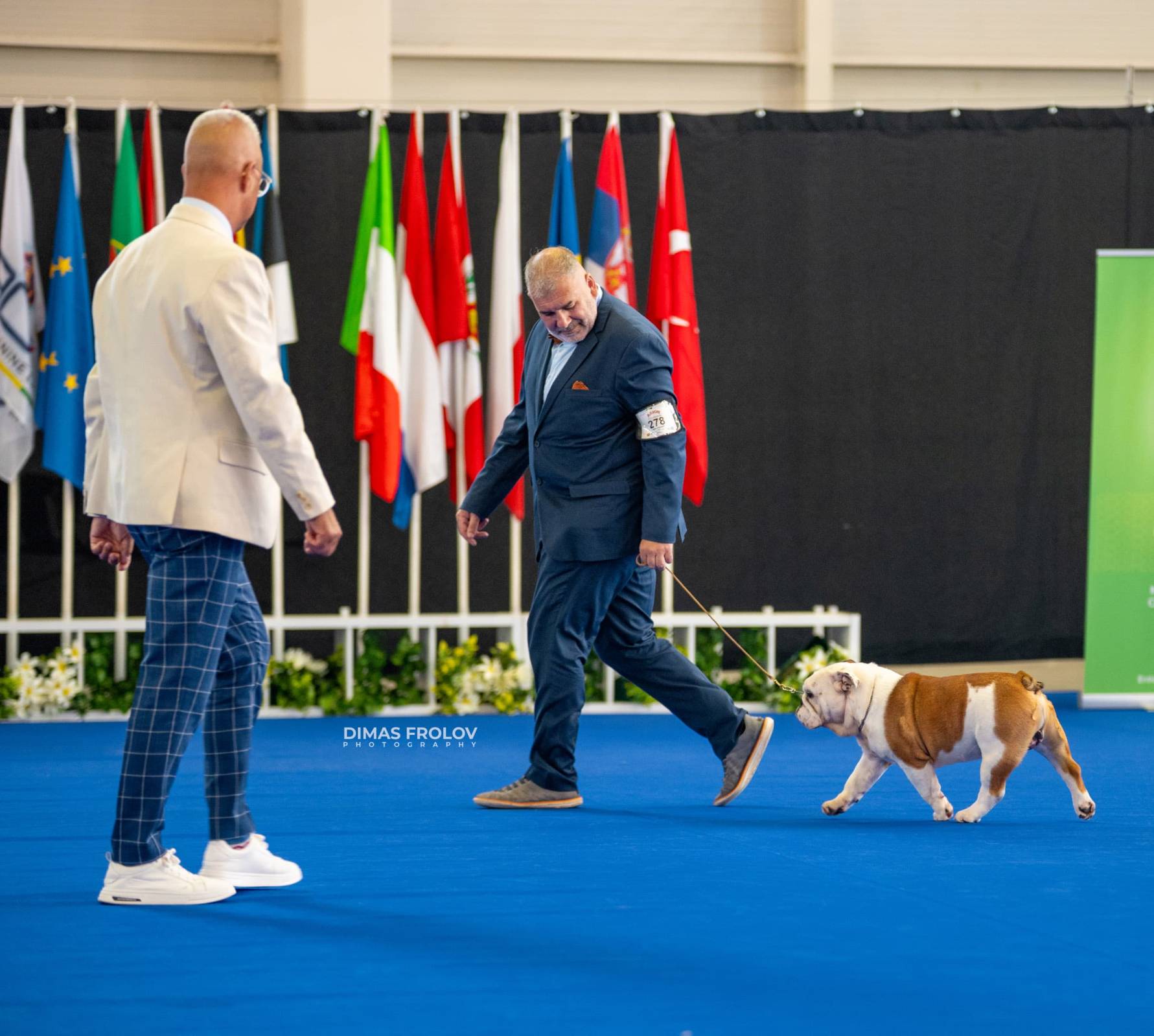 dogs Aveiro Dog Show 2025. บาทต่อภาพ 129722 (2025-07-20 13:03:05)