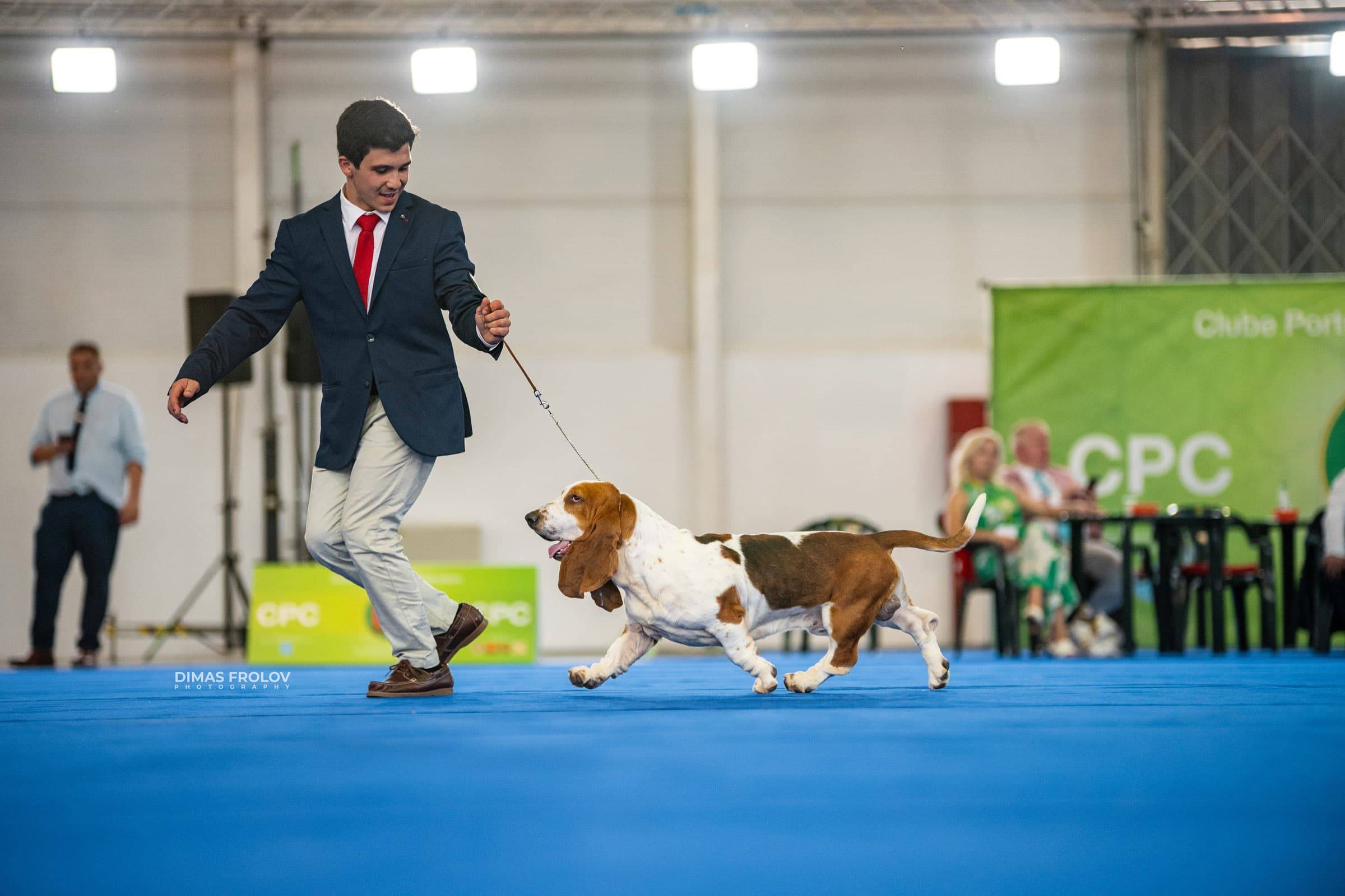 dogs Aveiro Dog Show 2025. บาทต่อภาพ 129720 (2025-07-20 13:03:05)