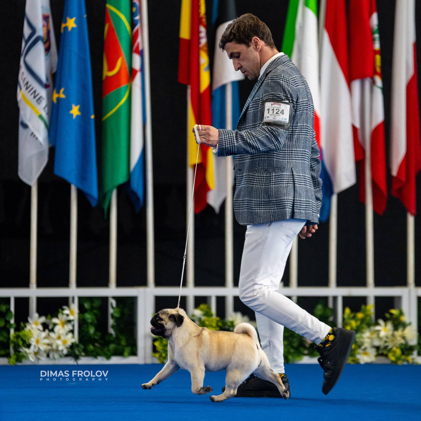 dogs Aveiro Dog Show 2025. บาทต่อภาพ 129745 (2025-07-20 13:03:06)