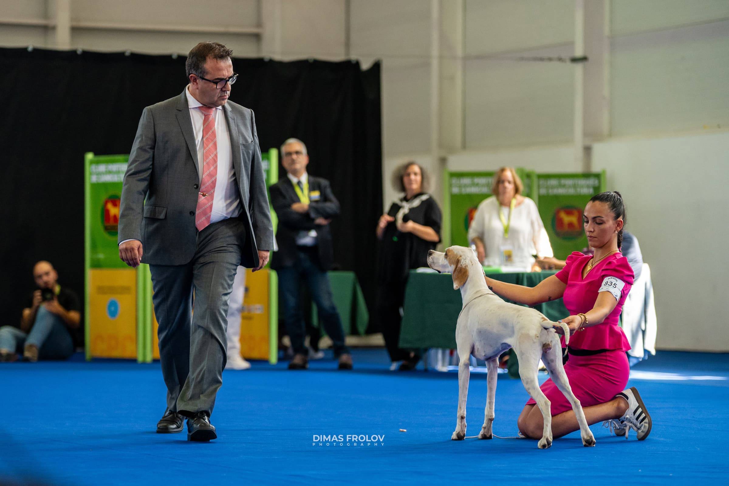 dogs Aveiro Dog Show 2025. บาทต่อภาพ 129744 (2025-07-20 13:03:06)