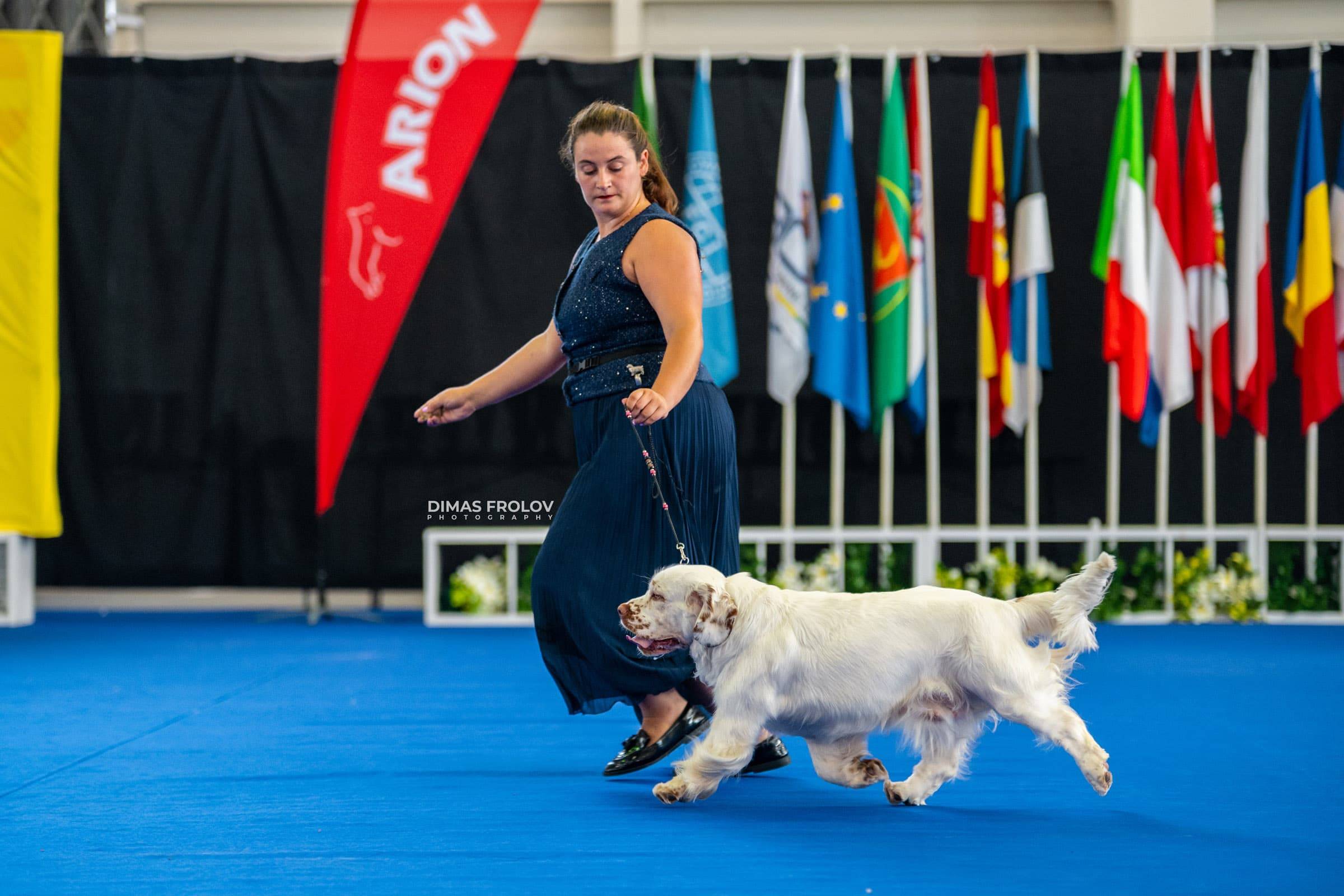 dogs Aveiro Dog Show 2025. บาทต่อภาพ 129746 (2025-07-20 13:03:06)