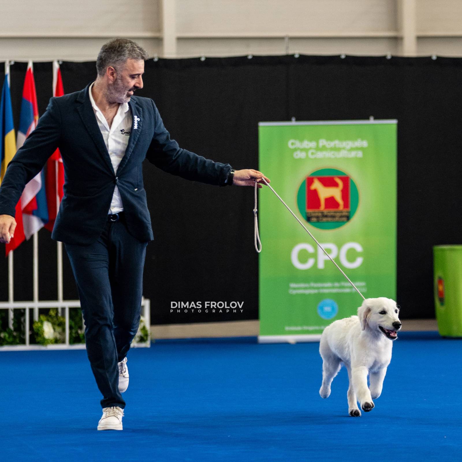 dogs Aveiro Dog Show 2025. บาทต่อภาพ 129749 (2025-07-20 13:03:06)