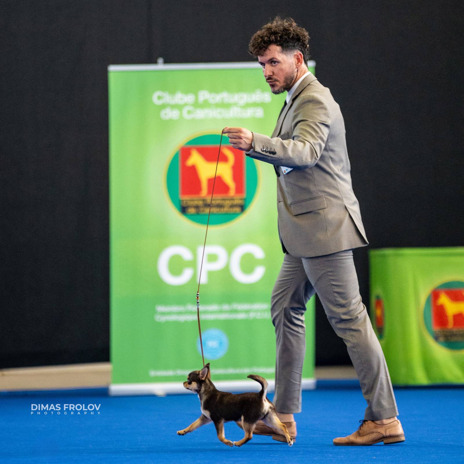 dogs Aveiro Dog Show 2025. บาทต่อภาพ 129757 (2025-07-20 13:03:08)