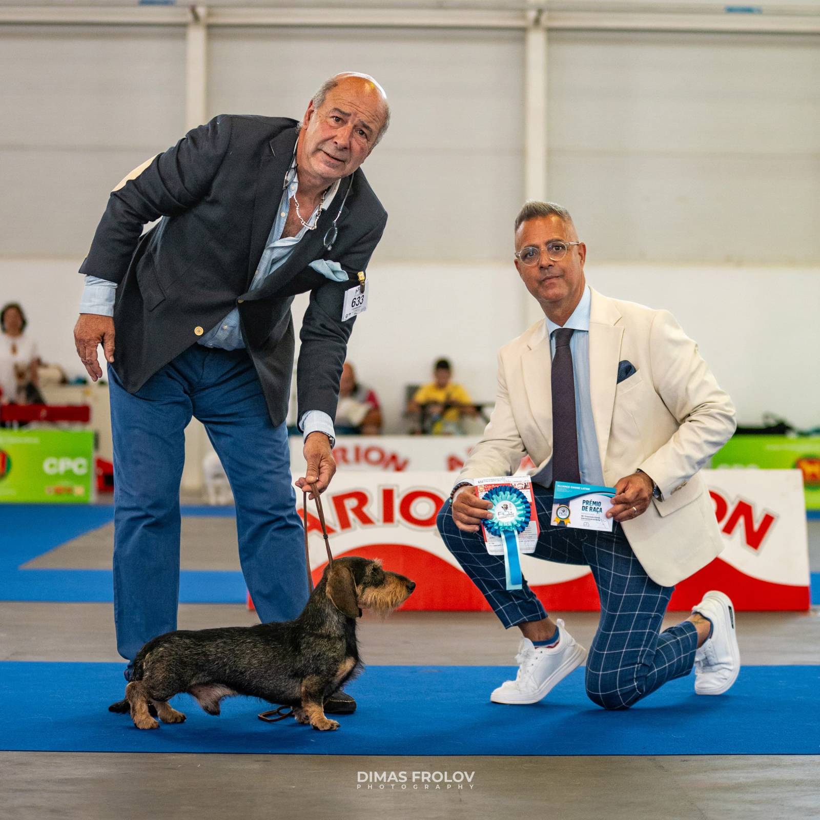 dogs Aveiro Dog Show 2025. บาทต่อภาพ 129754 (2025-07-20 13:03:07)