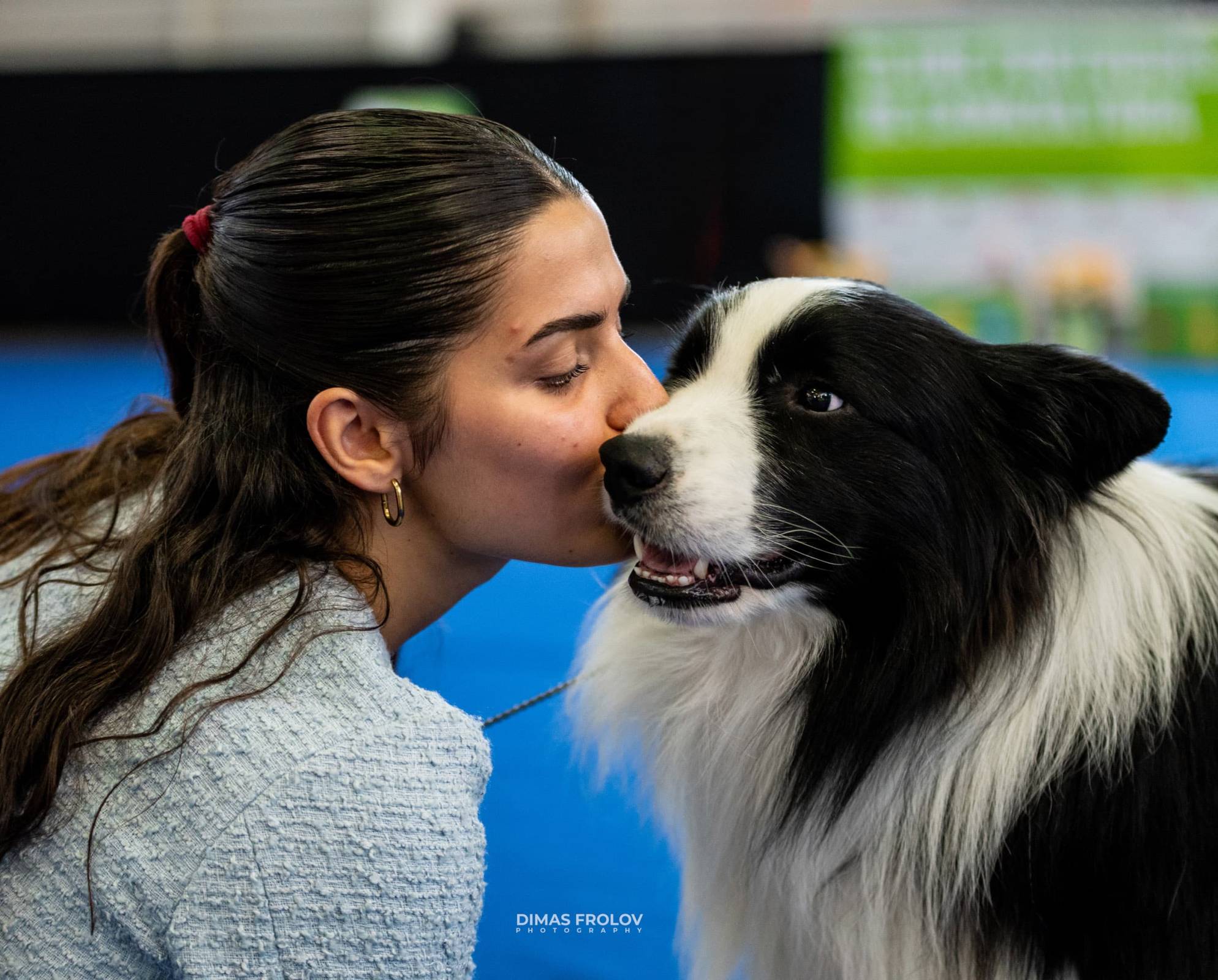 dogs Aveiro Dog Show 2025. บาทต่อภาพ 129701 (2025-07-20 13:03:03)