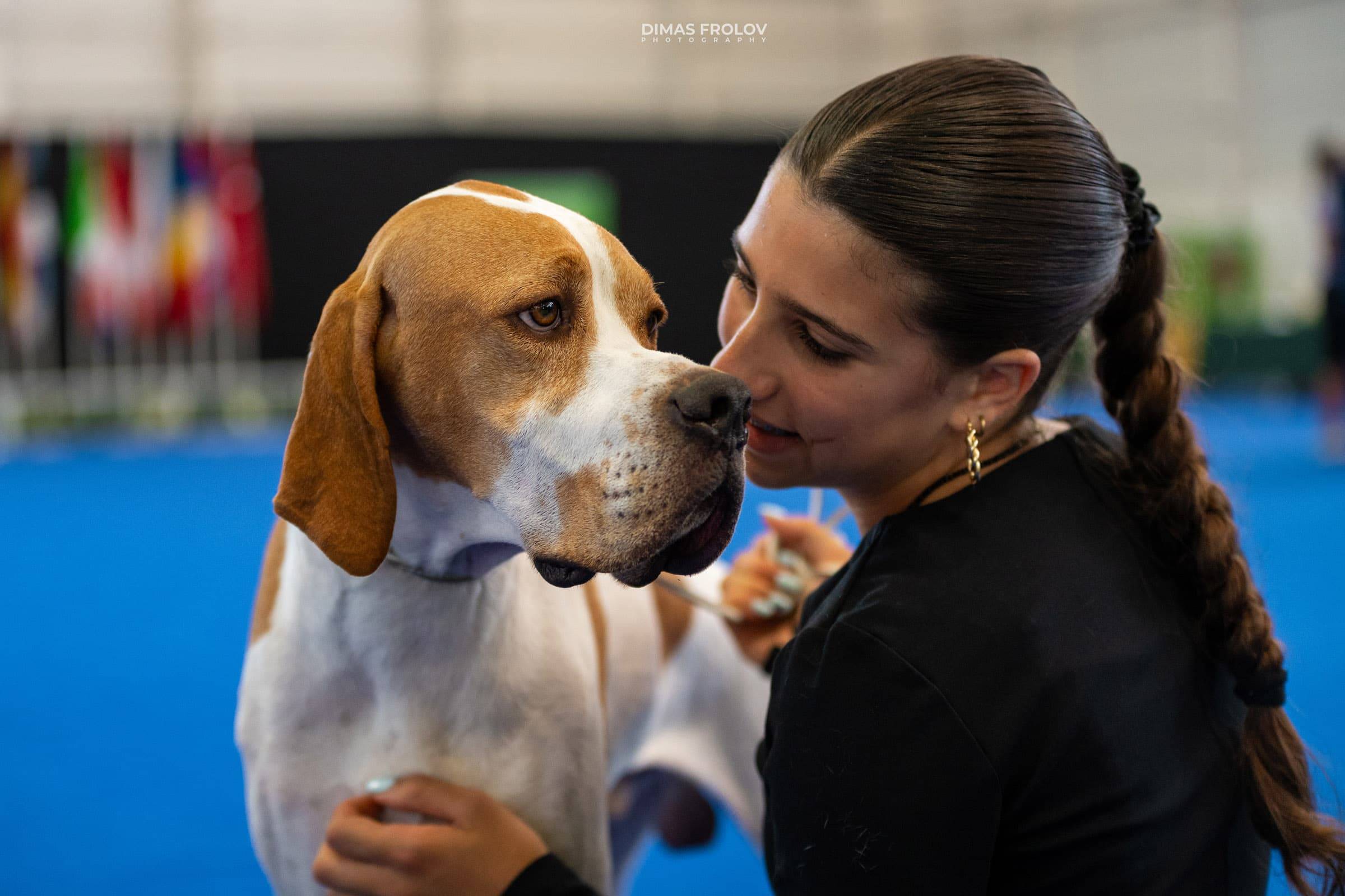 dogs Aveiro Dog Show 2025. บาทต่อภาพ 129709 (2025-07-20 13:03:04)