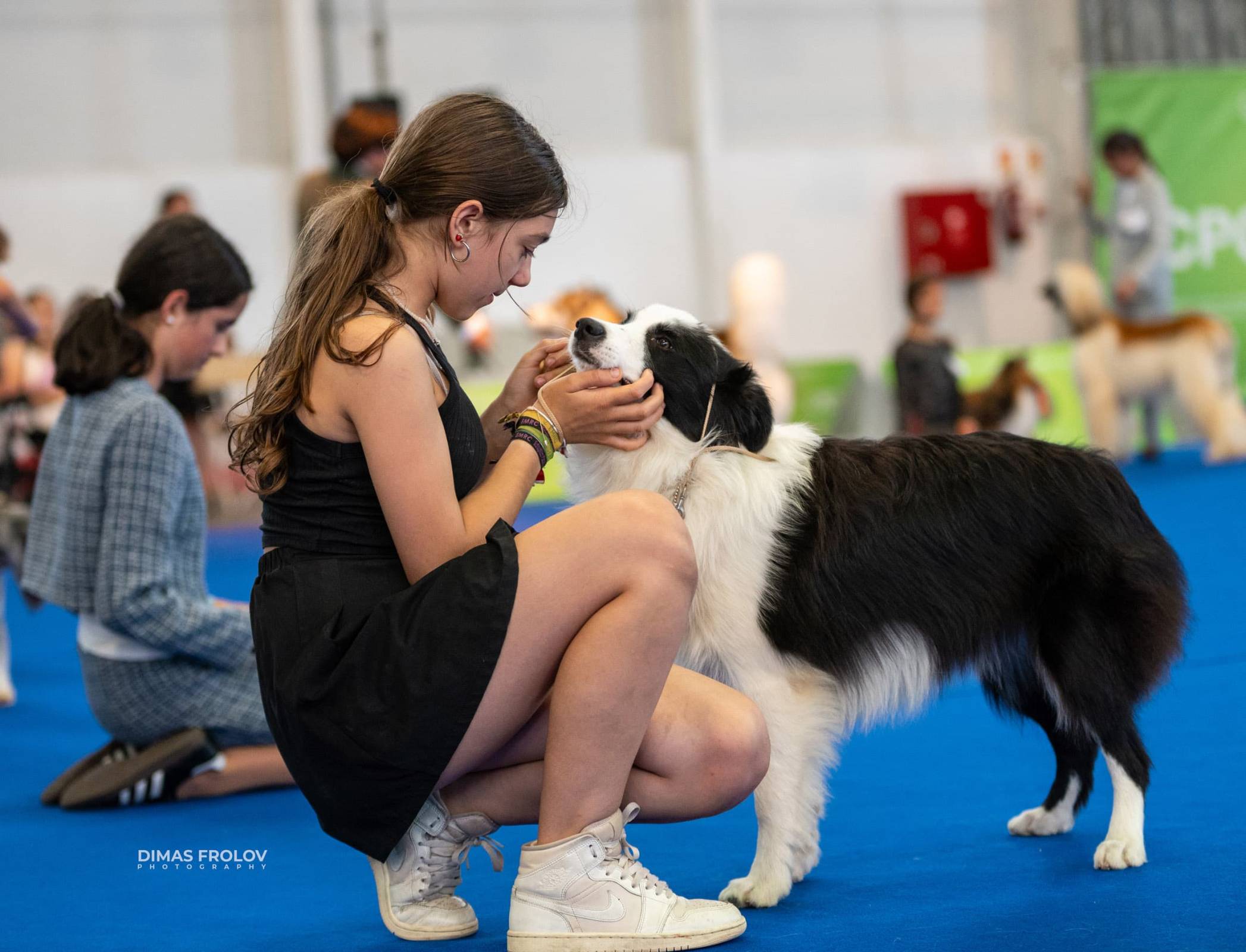 dogs Aveiro Dog Show 2025. บาทต่อภาพ 129706 (2025-07-20 13:03:04)