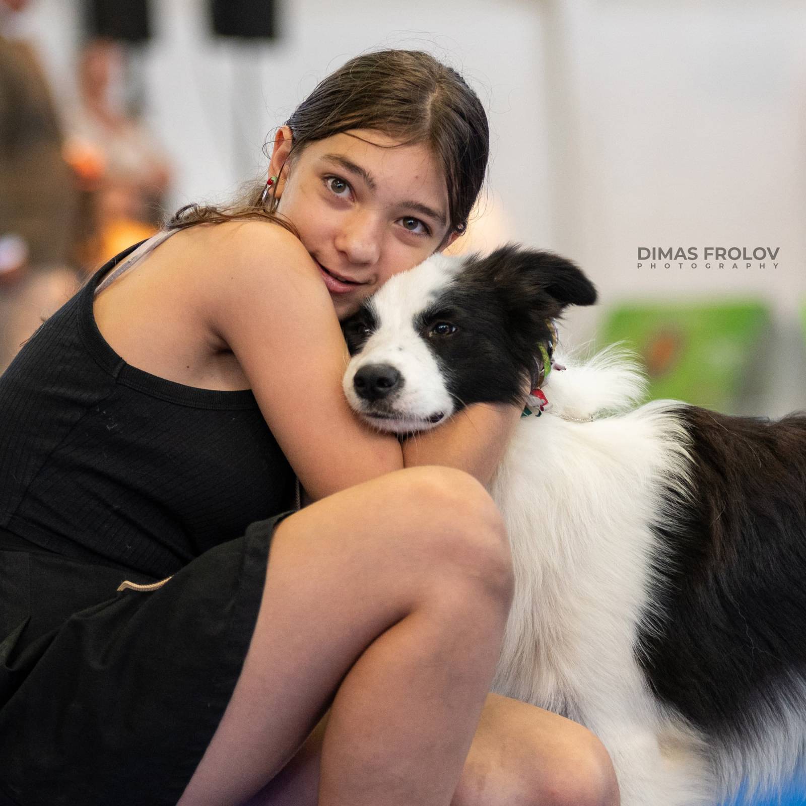 dogs Aveiro Dog Show 2025. บาทต่อภาพ 129719 (2025-07-20 13:03:05)