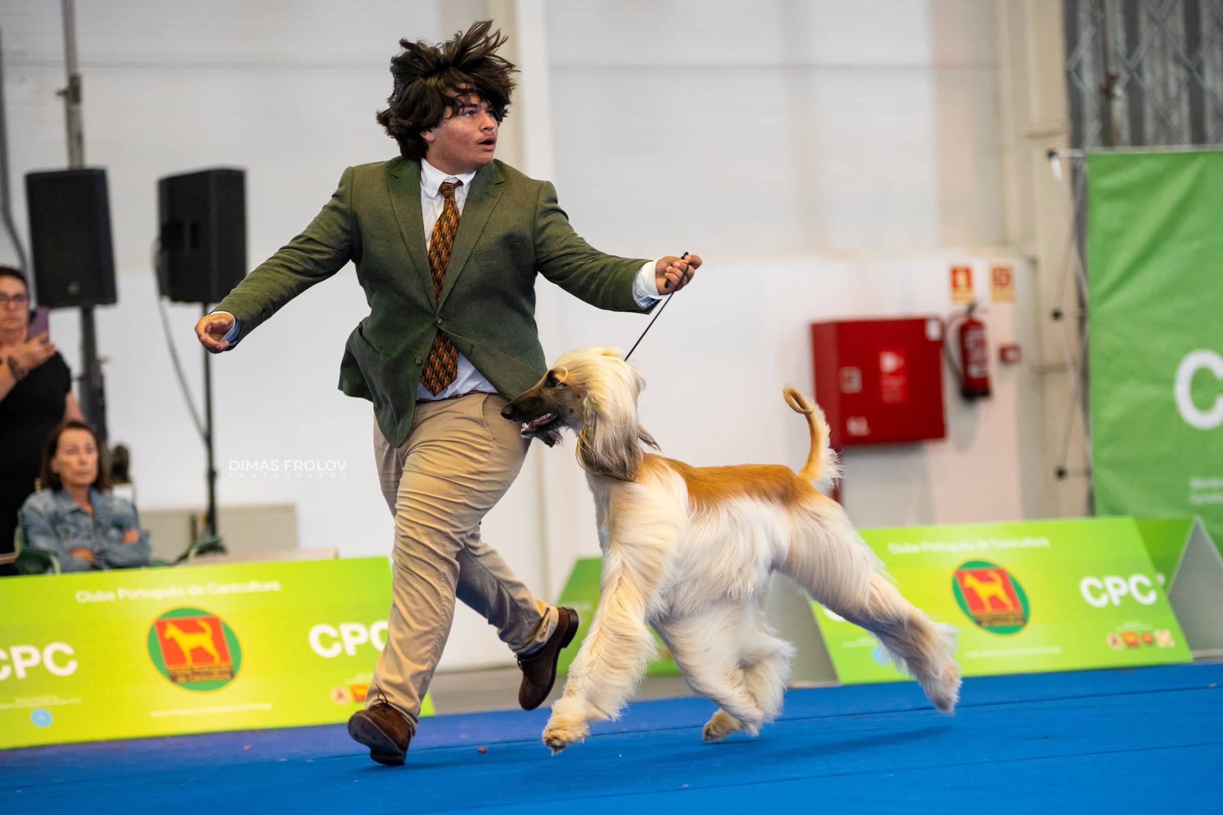 dogs Aveiro Dog Show 2025. บาทต่อภาพ 129699 (2025-07-20 13:03:03)