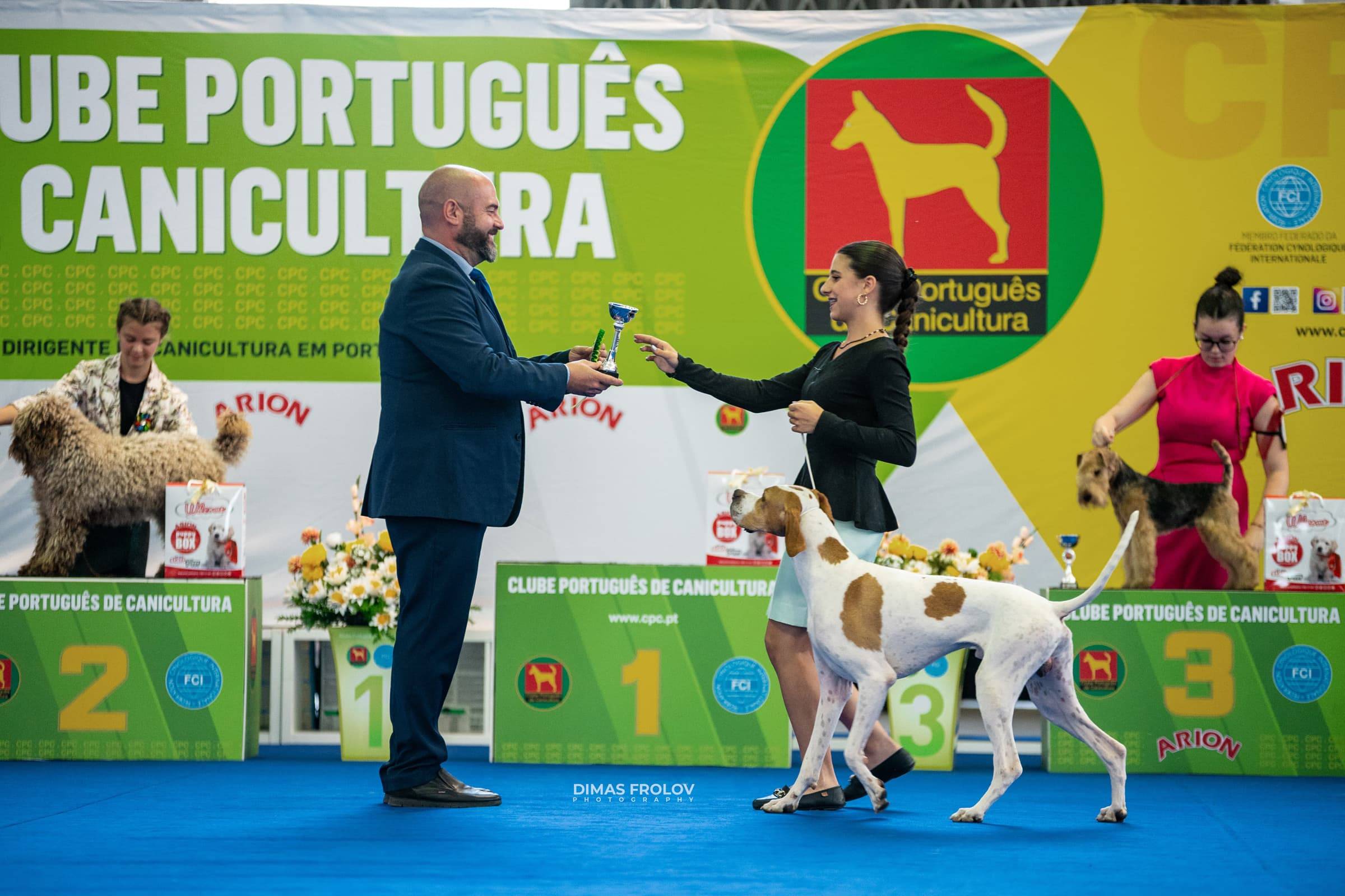 dogs Aveiro Dog Show 2025. บาทต่อภาพ 129717 (2025-07-20 13:03:04)